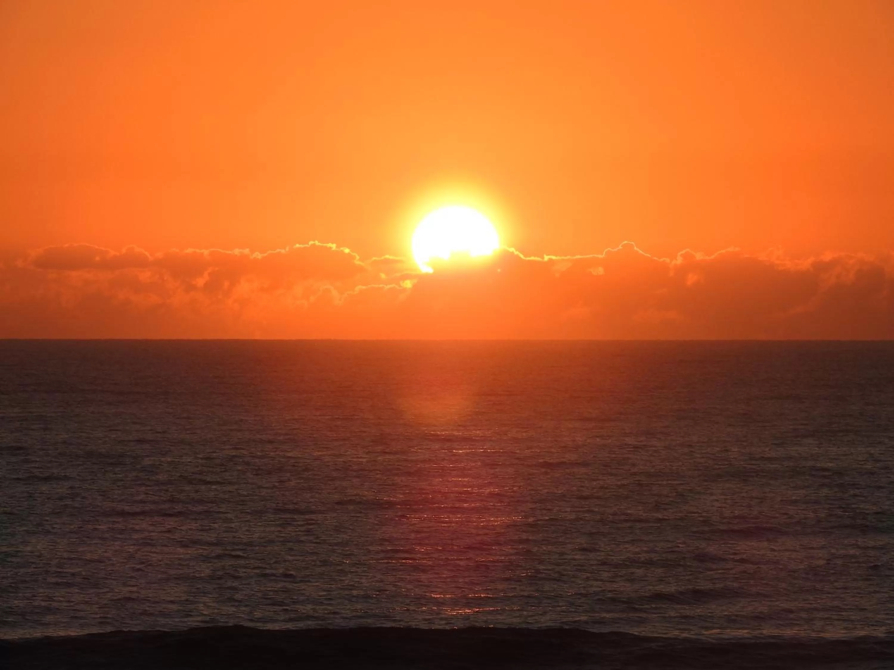 Albatross North Apartments