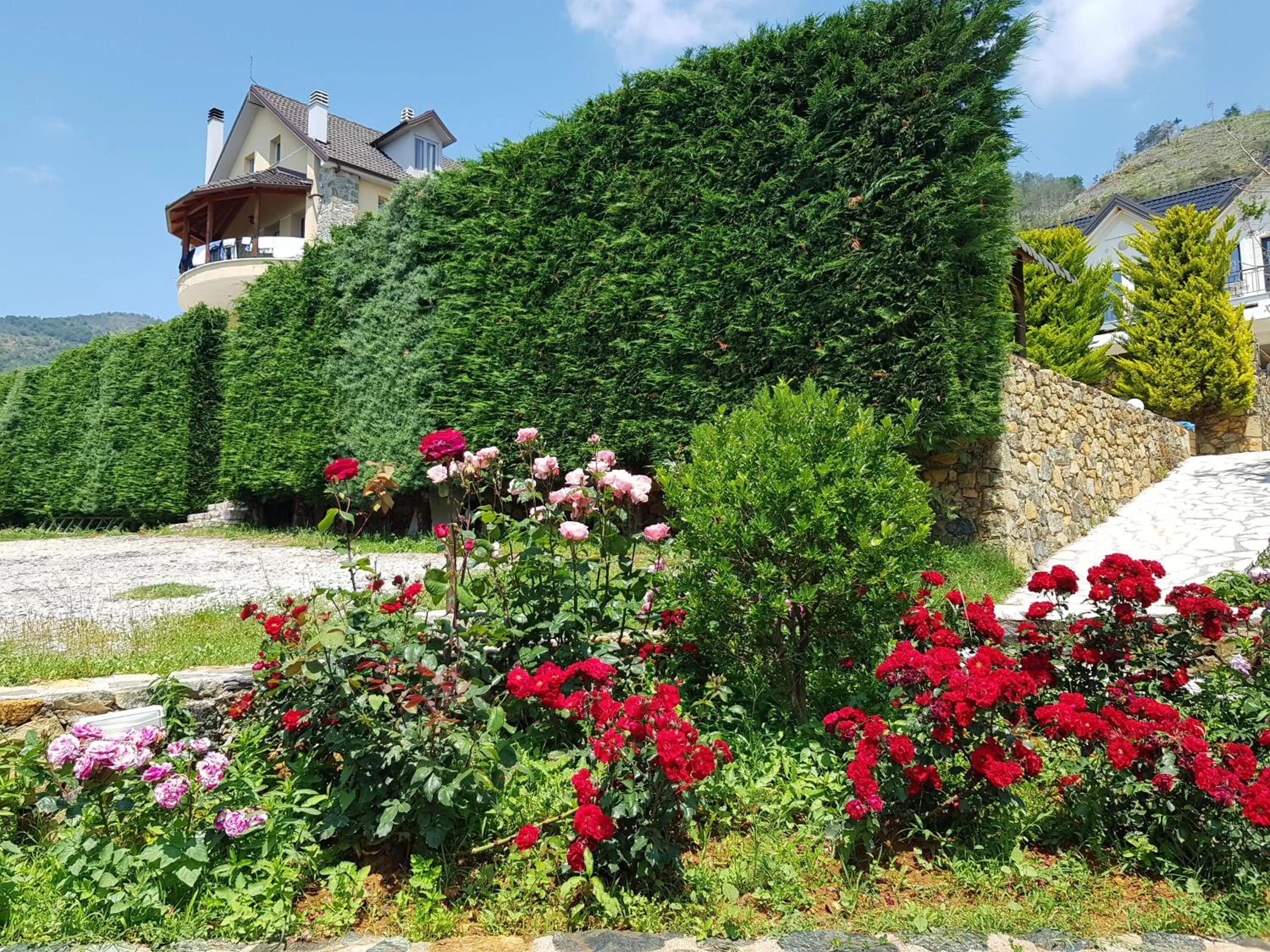 Garden in Sofra E Shpatit