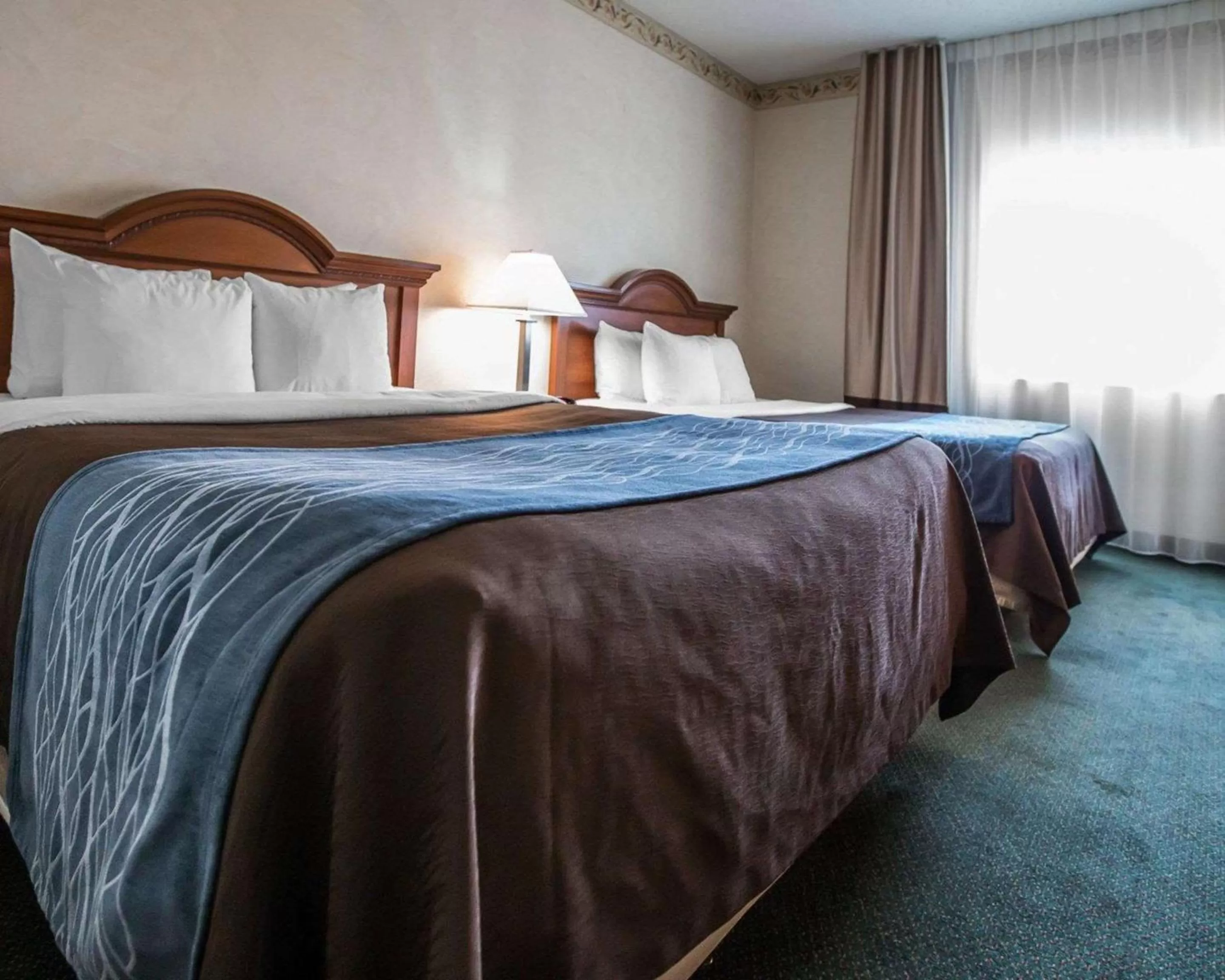 Photo of the whole room, Bed in Quality Inn & Suites Dixon near I-88