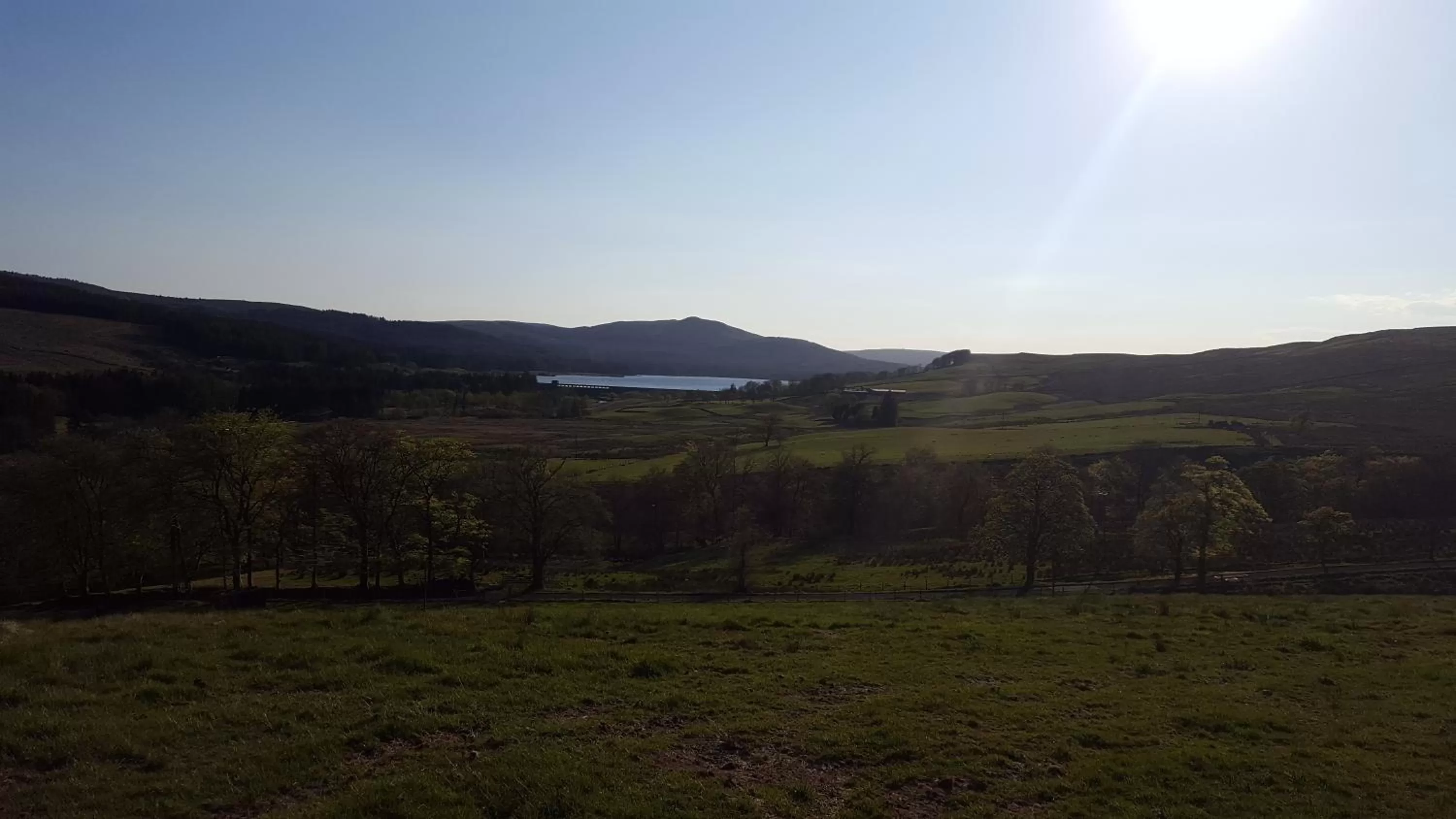 Natural landscape in B&B Drum Farm