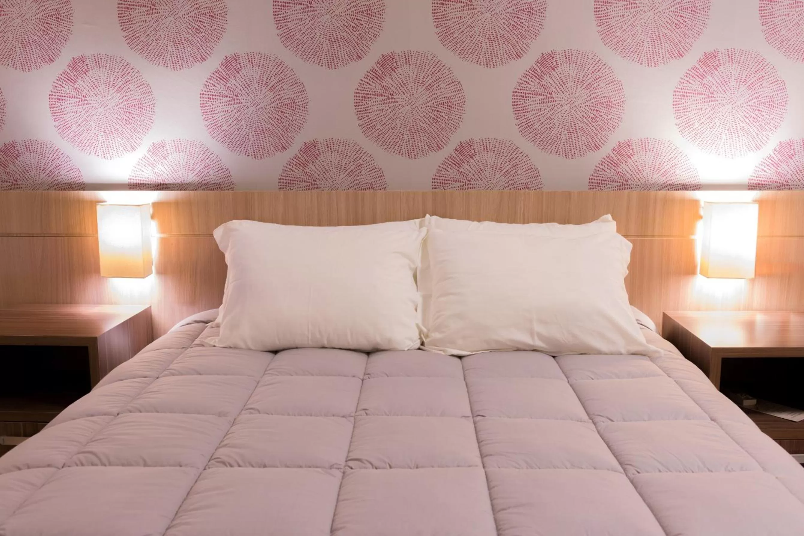 Single Room in Continental Inn