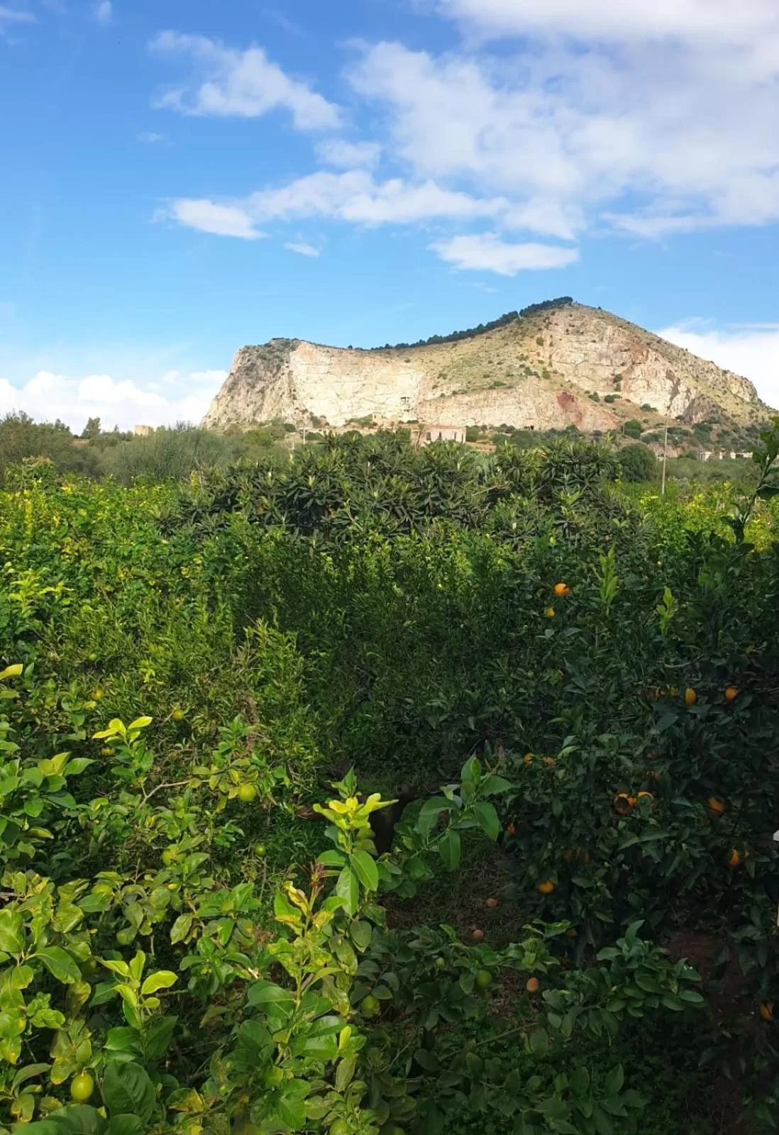 Garden view, Mountain View in VILLA MARTA a due passi dalla clinica ortopedica Rizzoli e da Villa Santa Teresa