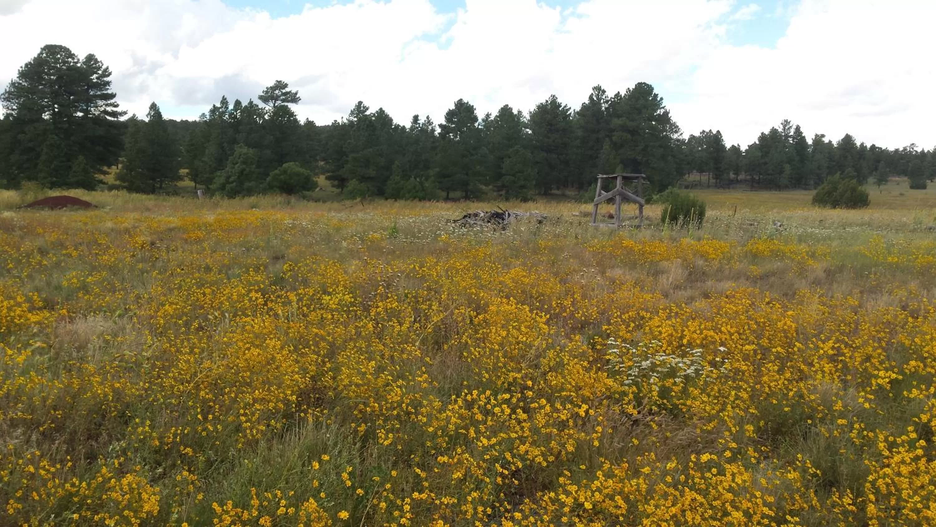 Mountain view in Trapper's Rendezvous