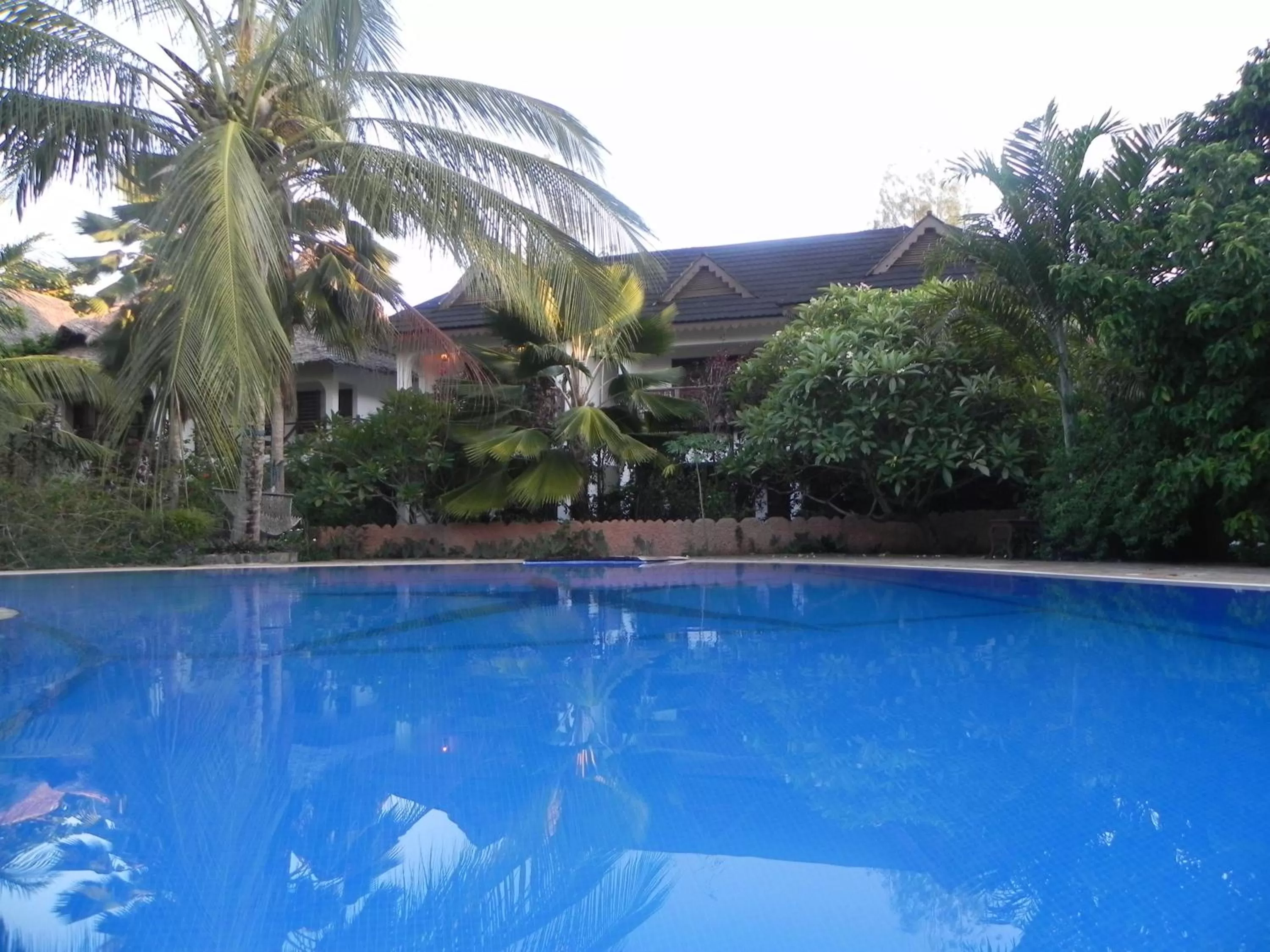 Swimming pool in Langi Langi Beach Bungalows