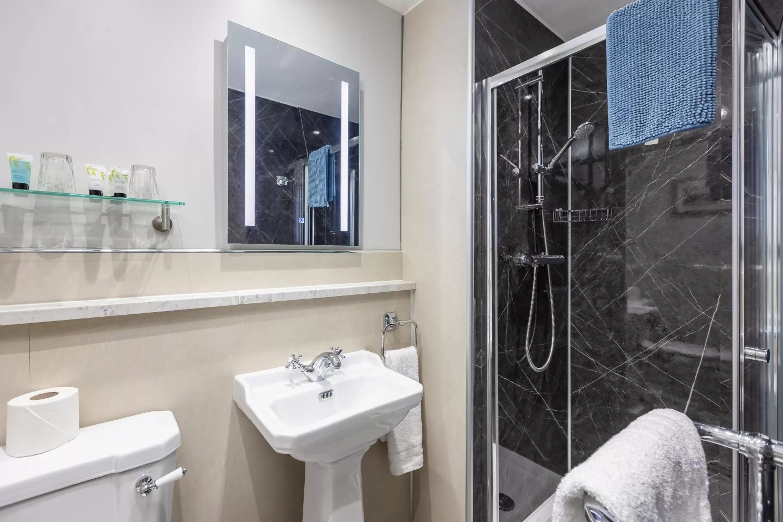 Shower in The Black Swan Inn