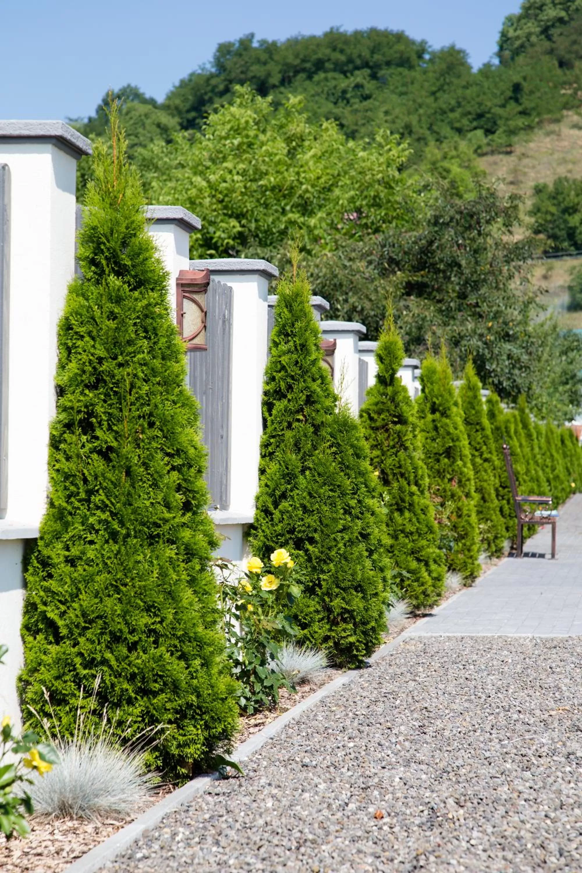 Mountain view in Country Court