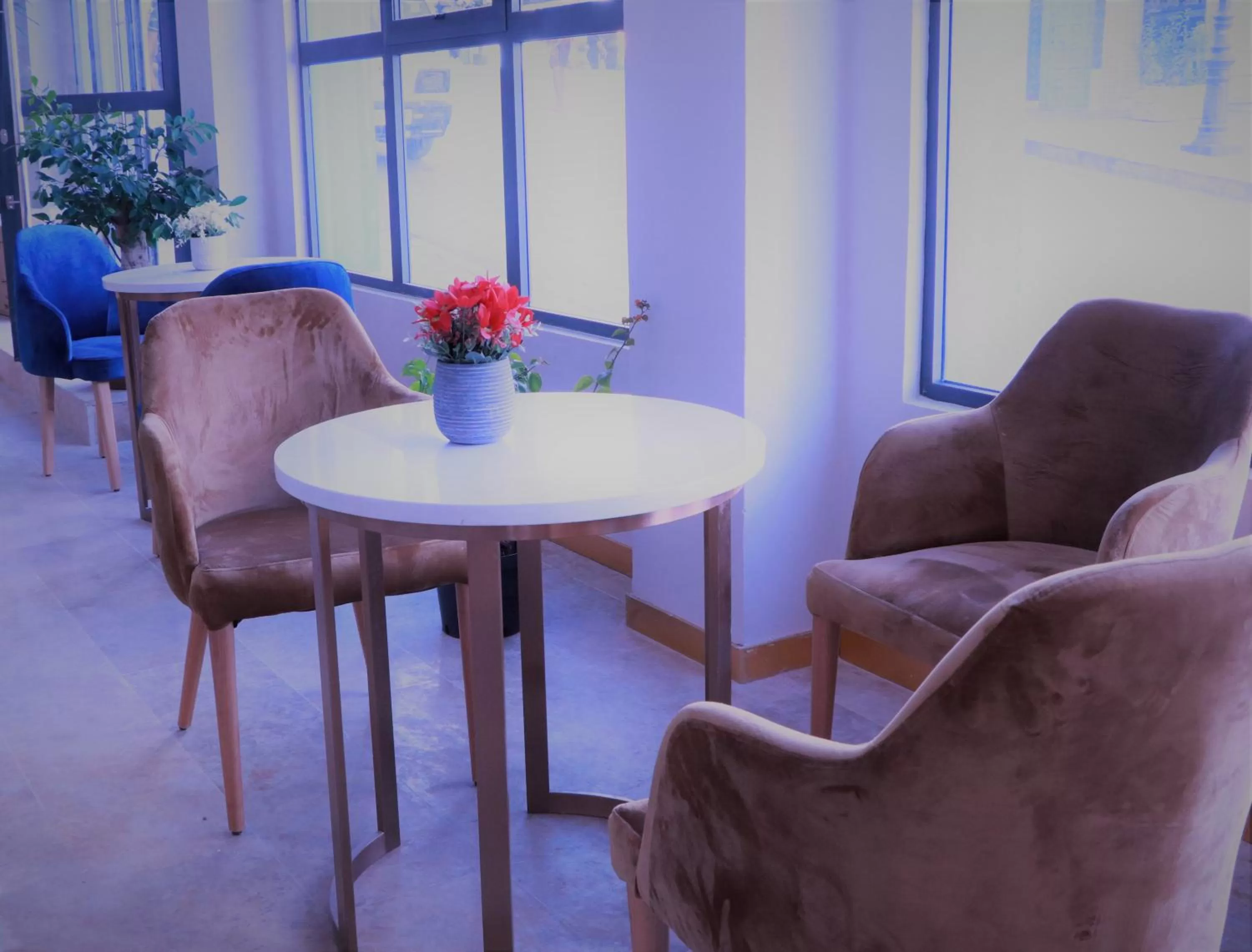 Lounge or bar in VANCII Hotel