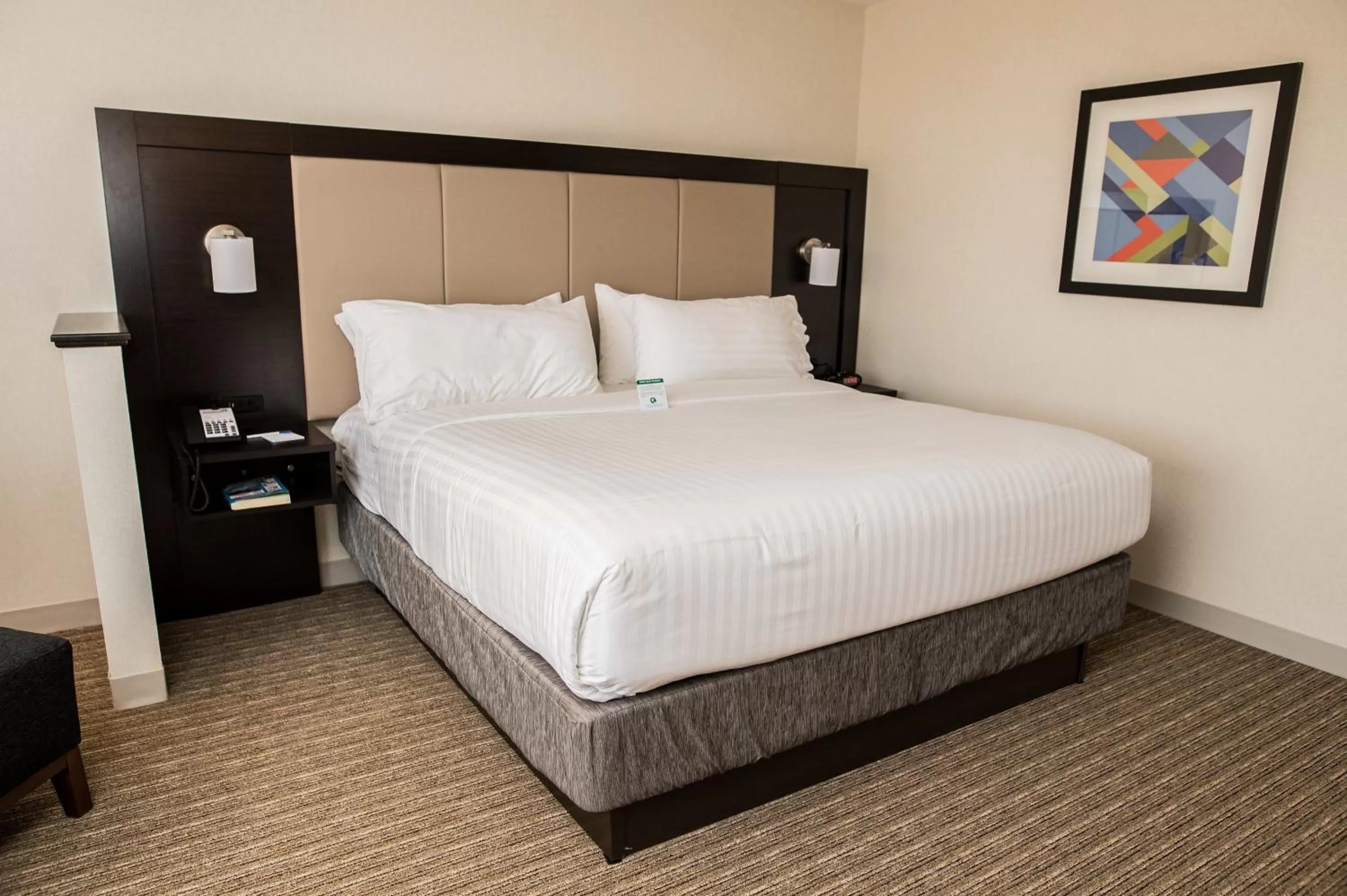 Photo of the whole room, Bed in Holiday Inn Express & Suites - Marietta by IHG