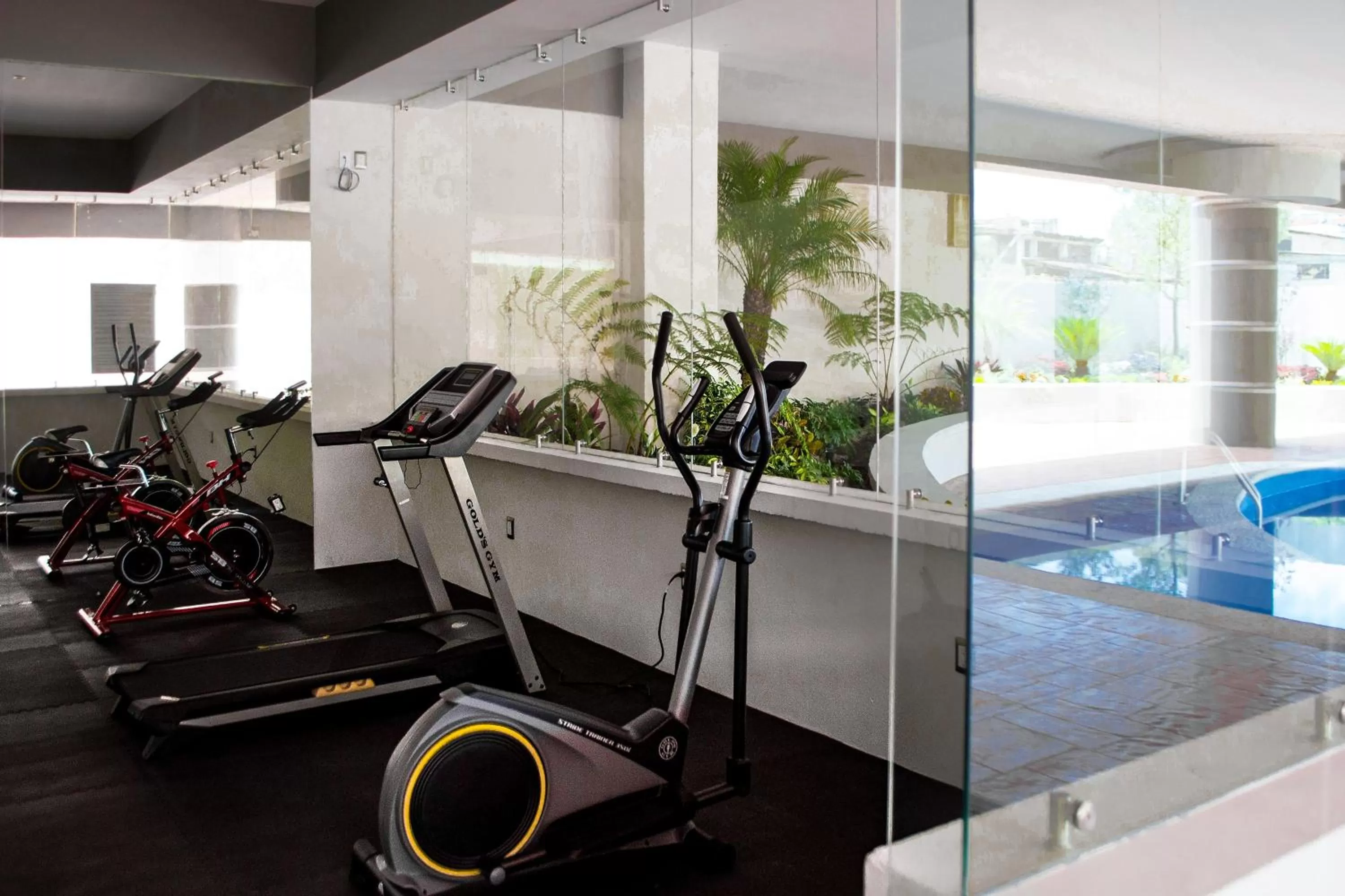 Fitness centre/facilities in Best Western Plus Santa Cecilia Pachuca