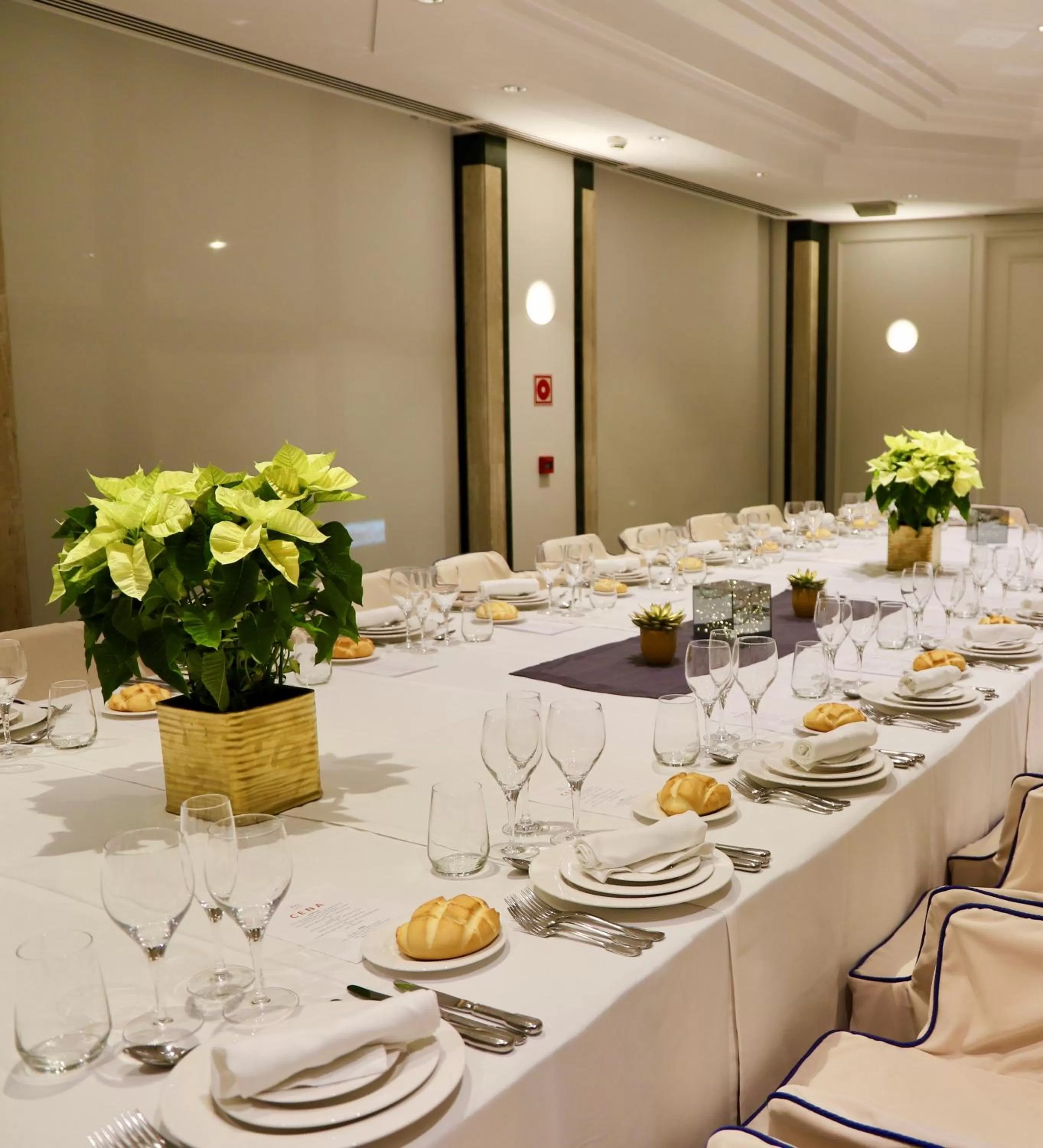 Business facilities in Hotel Olid