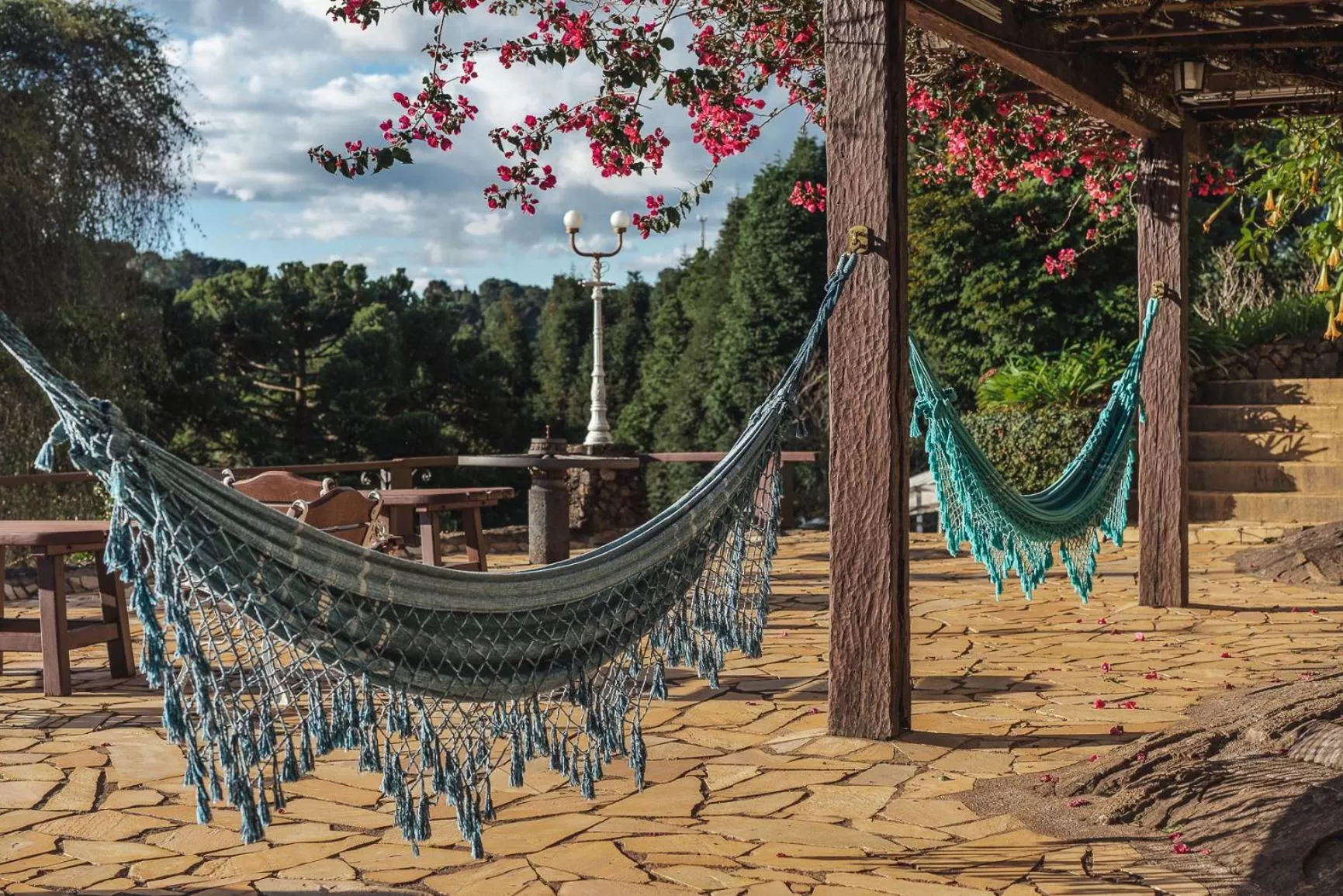 Garden in Hotel Meissner Hof