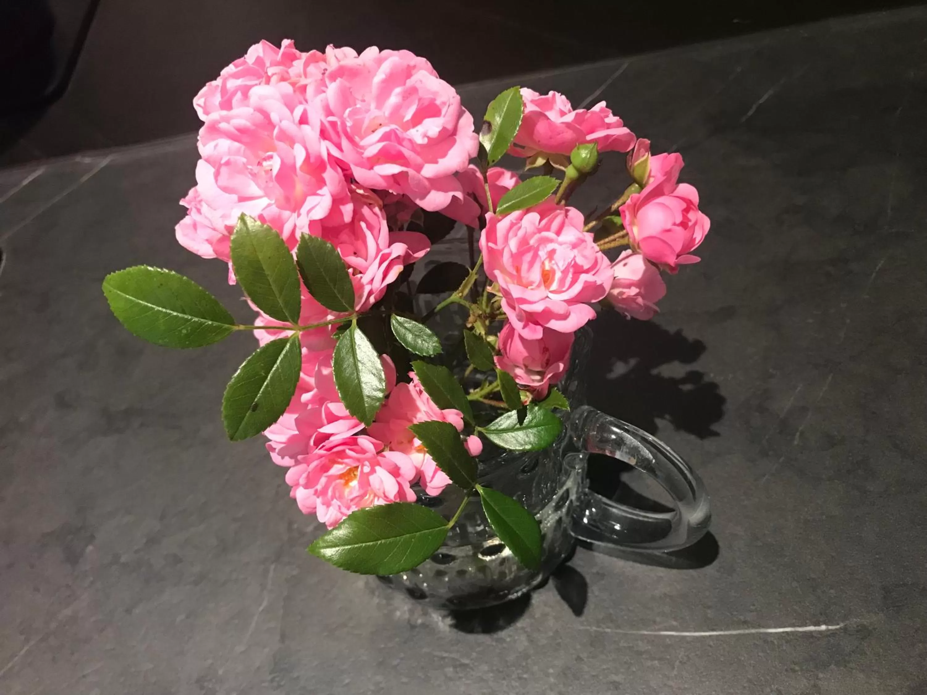 Cocon de douceur à deux pas de la gare