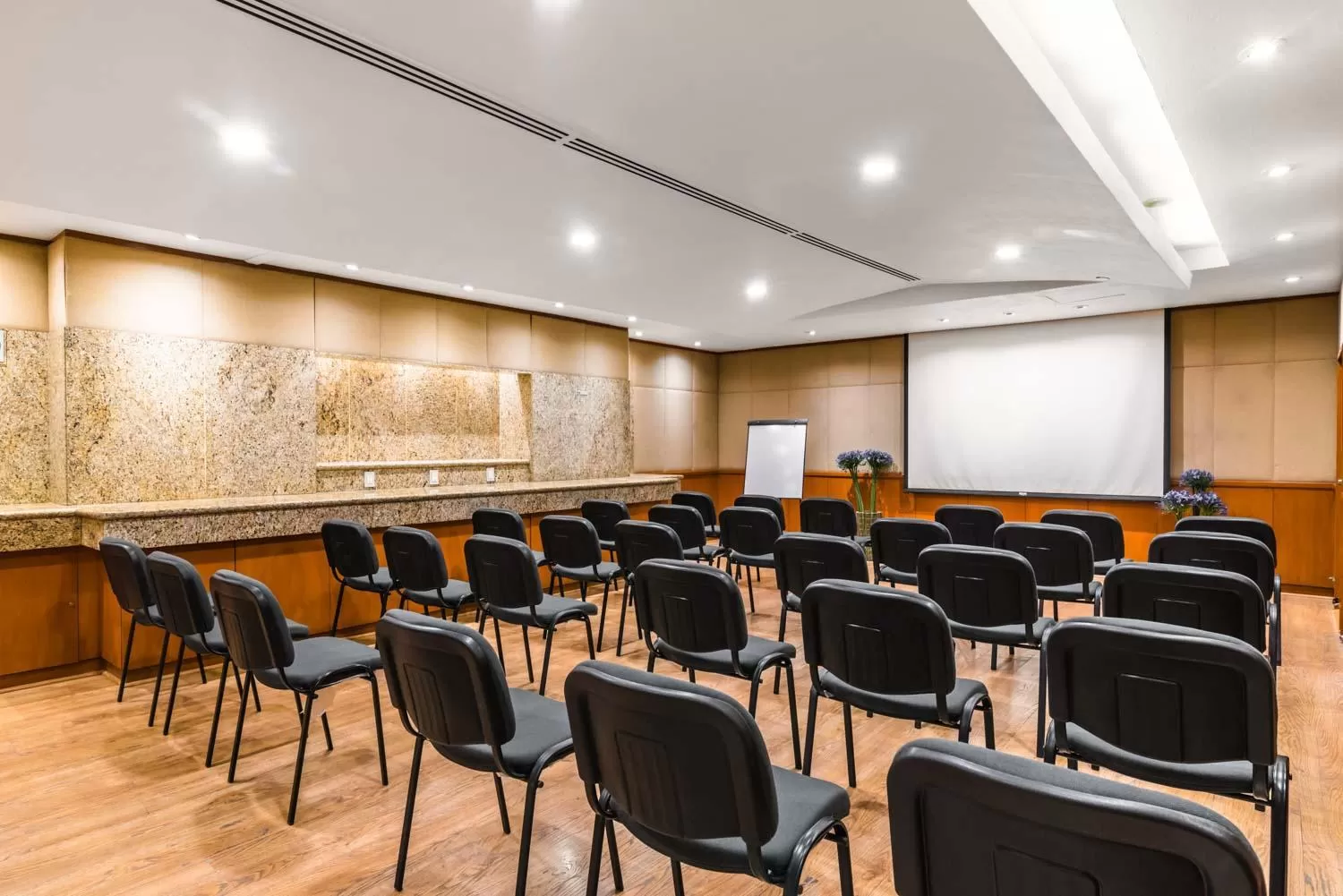 Meeting/conference room in Eurostars Zona Rosa Suites