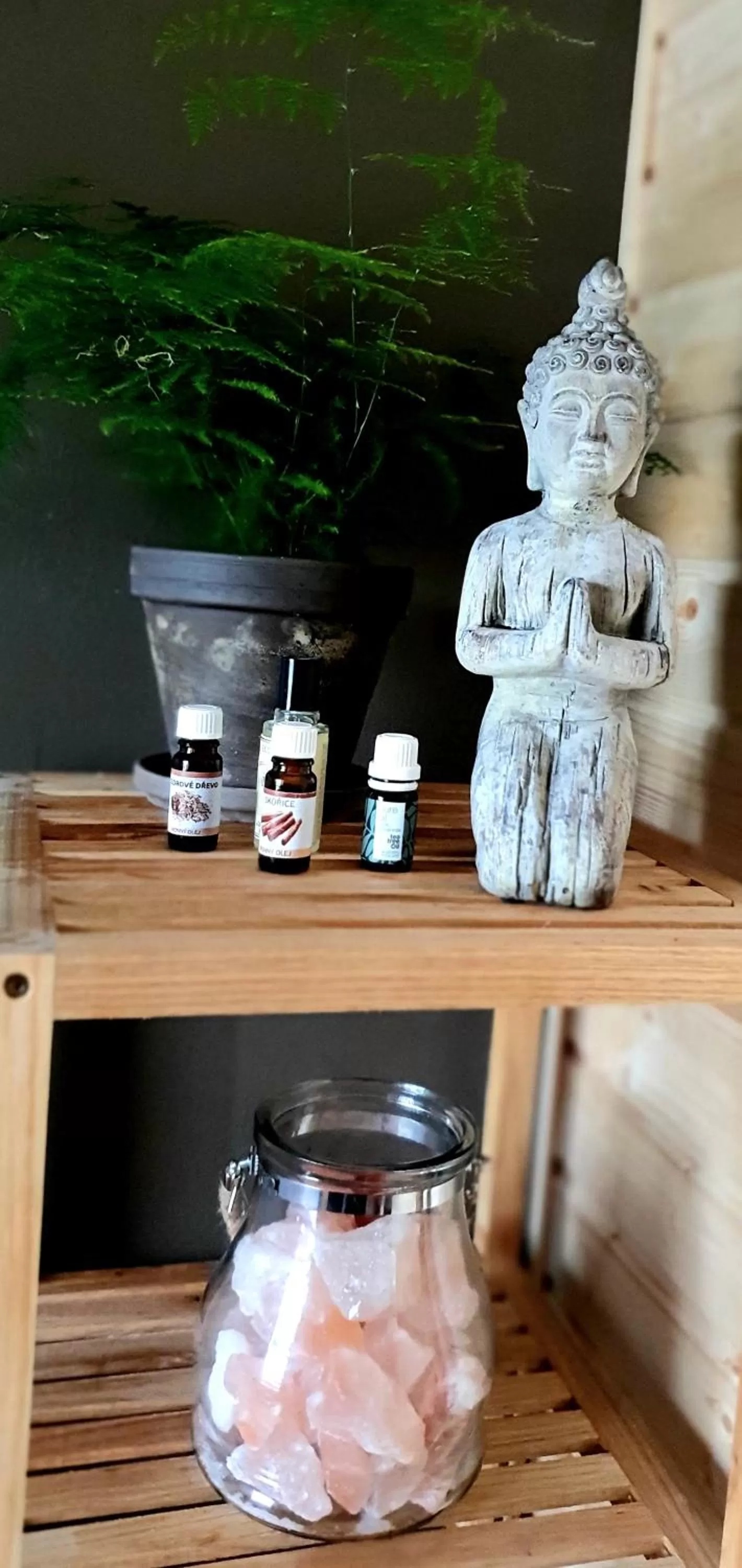 Spa and wellness centre/facilities in Hotel Farma Vysoká