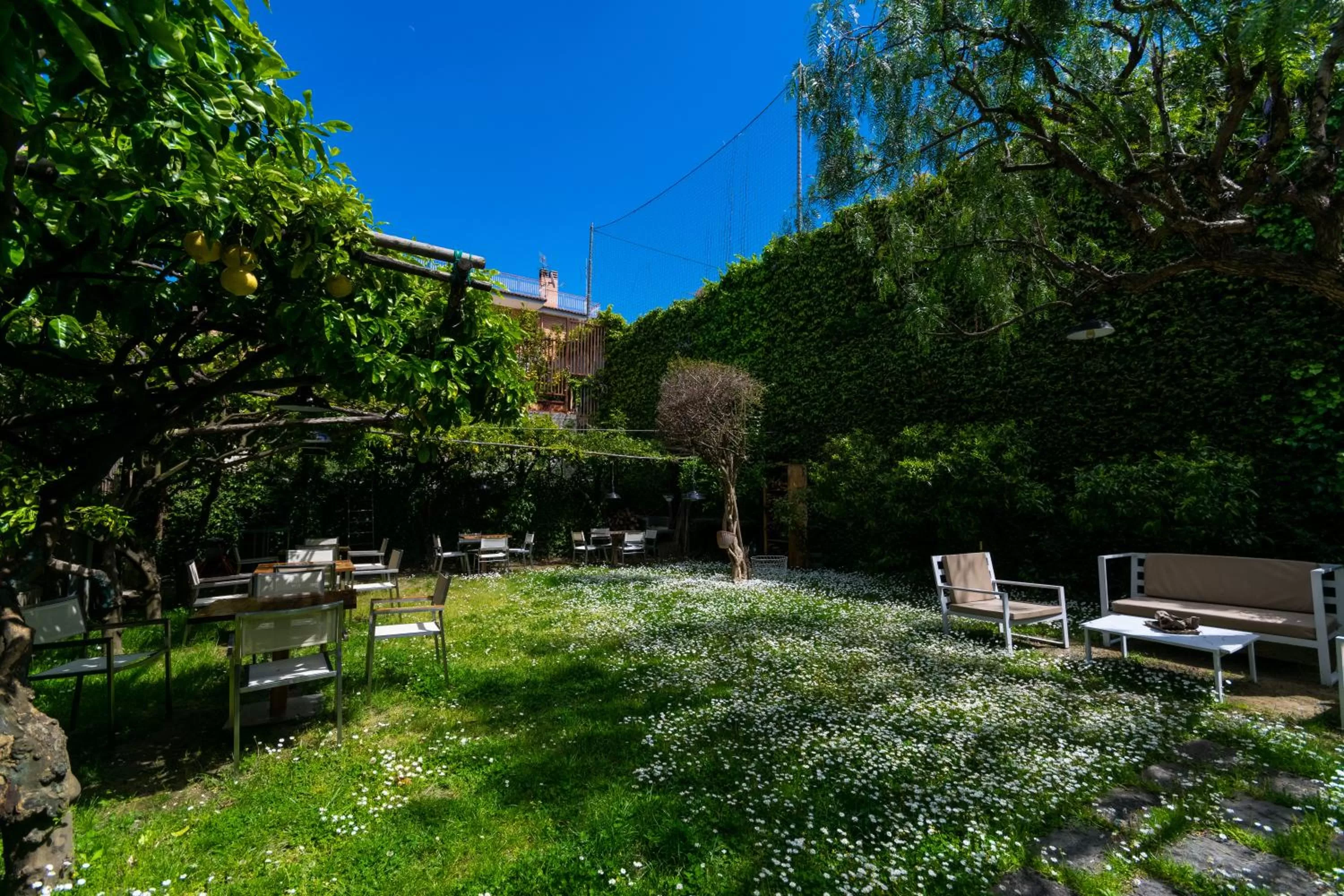 Spring in Hotel Forum