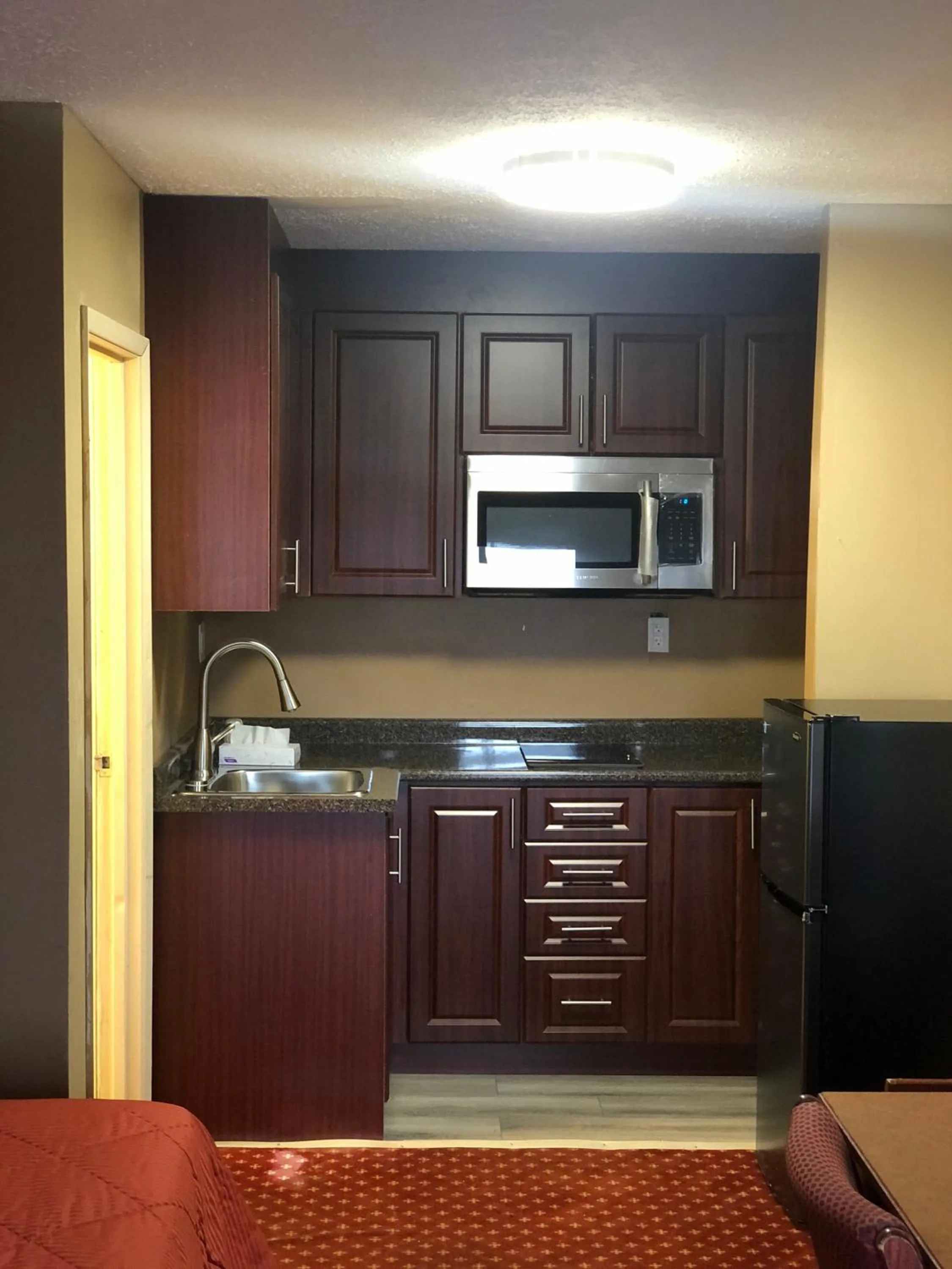 Kitchen or kitchenette in Niagara Lodge & Suites