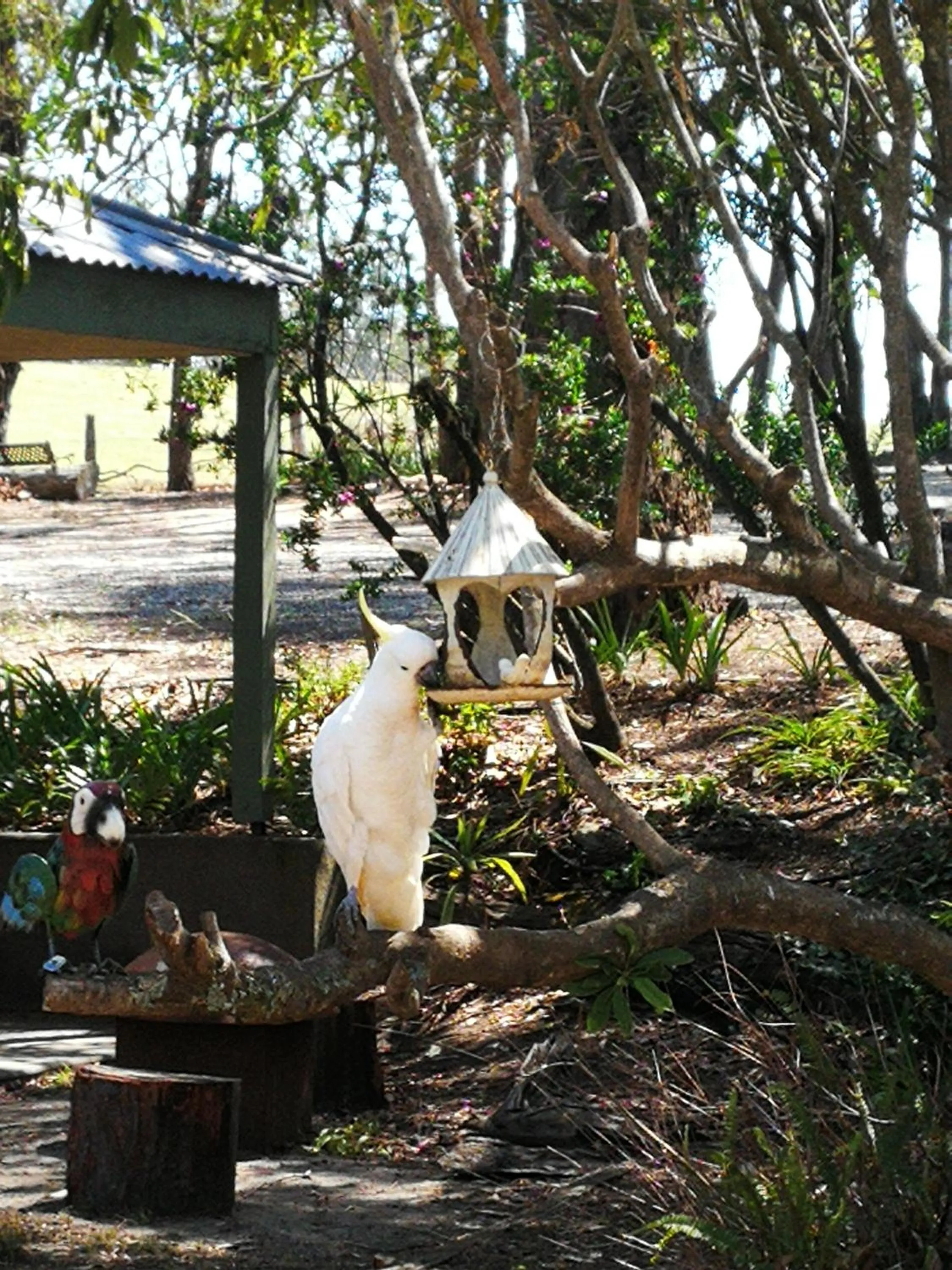 Kalimna Woods Cottages