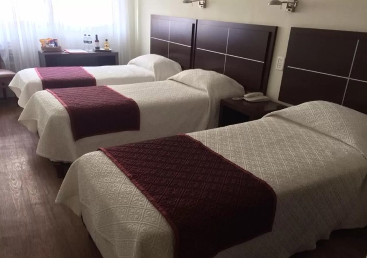 Photo of the whole room, Bed in Hotel Europa