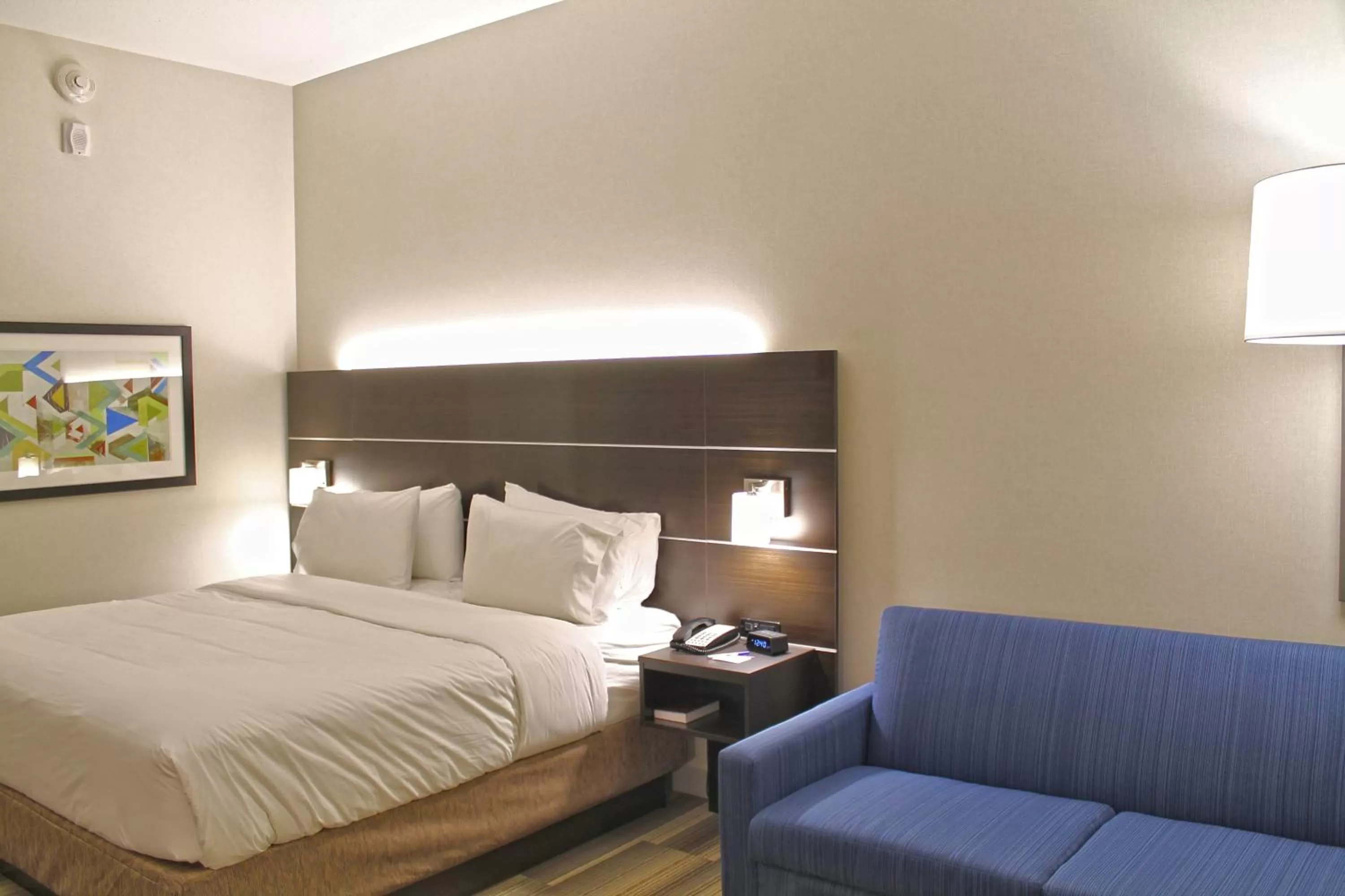 Photo of the whole room, Bed in Holiday Inn Express & Suites - St. Louis South - I-55 by IHG