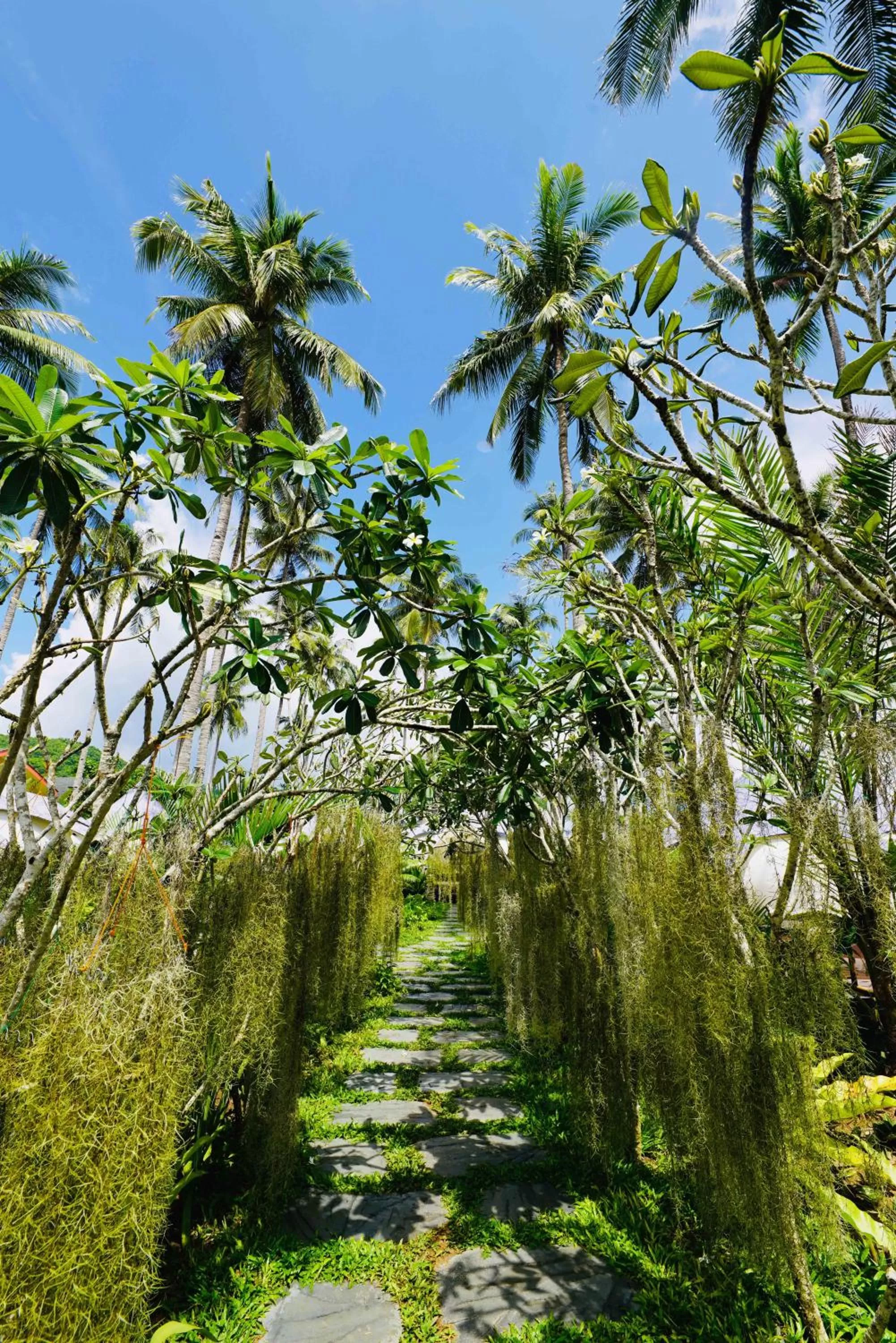 Nacpan Beach Glamping Managed by H Hospitality Group