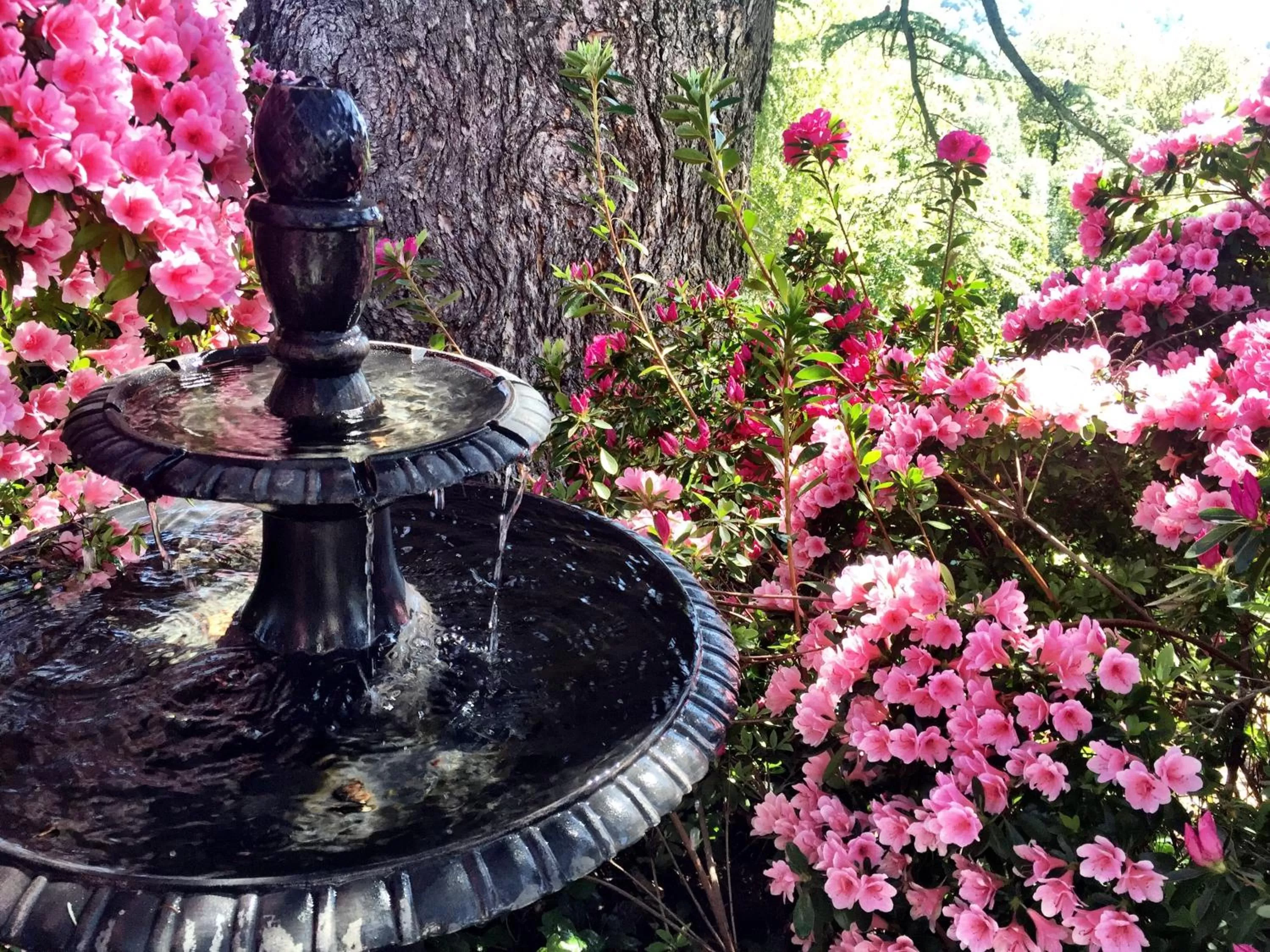 Garden in The Inn on Knowles Hill Bed & Breakfast Hotel