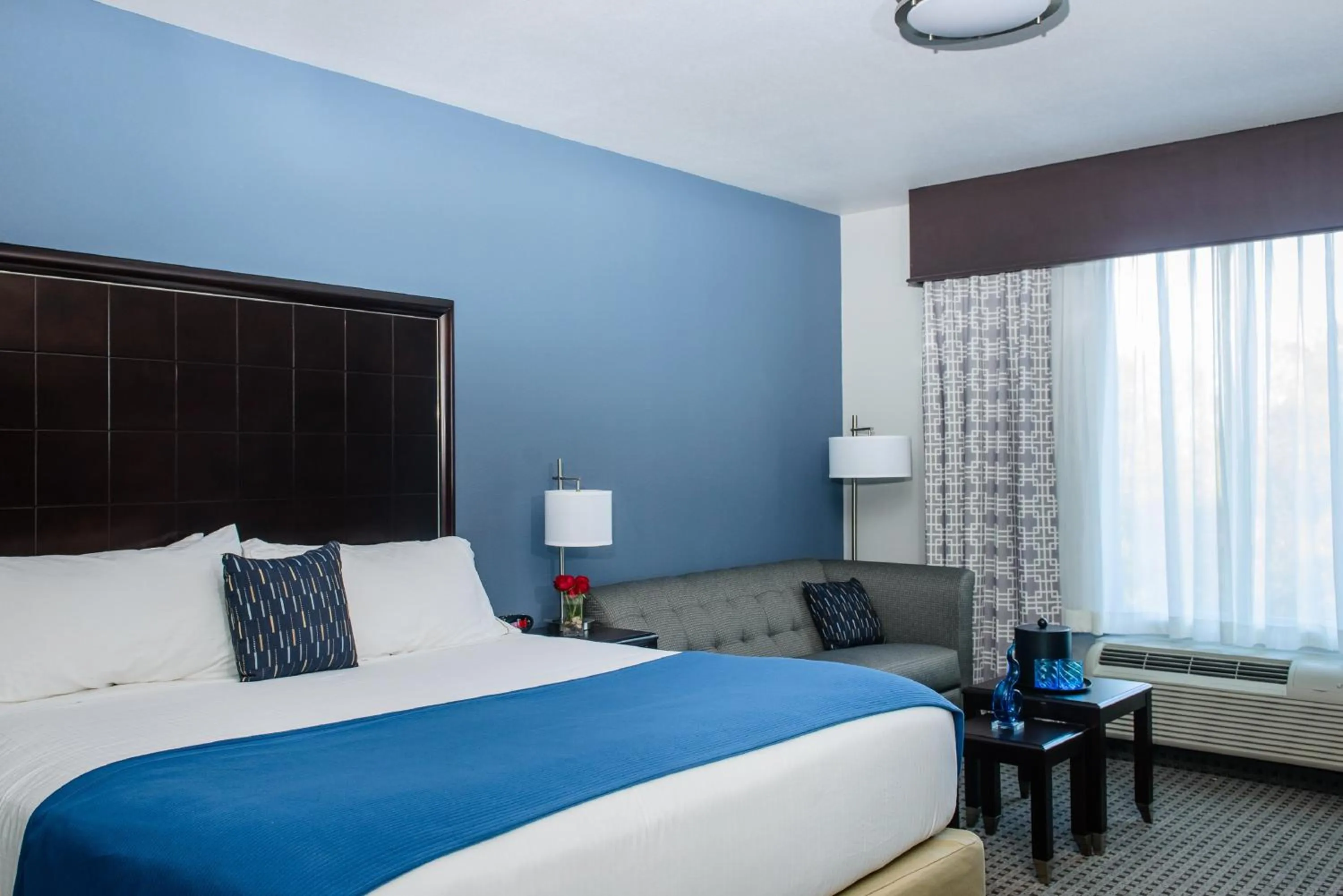 Photo of the whole room, Bed in Holiday Inn Express Hotel & Suites Austin NW - Arboretum Area by IHG