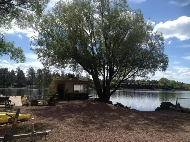 View (from property/room) in Rainbows End Fishing Resort