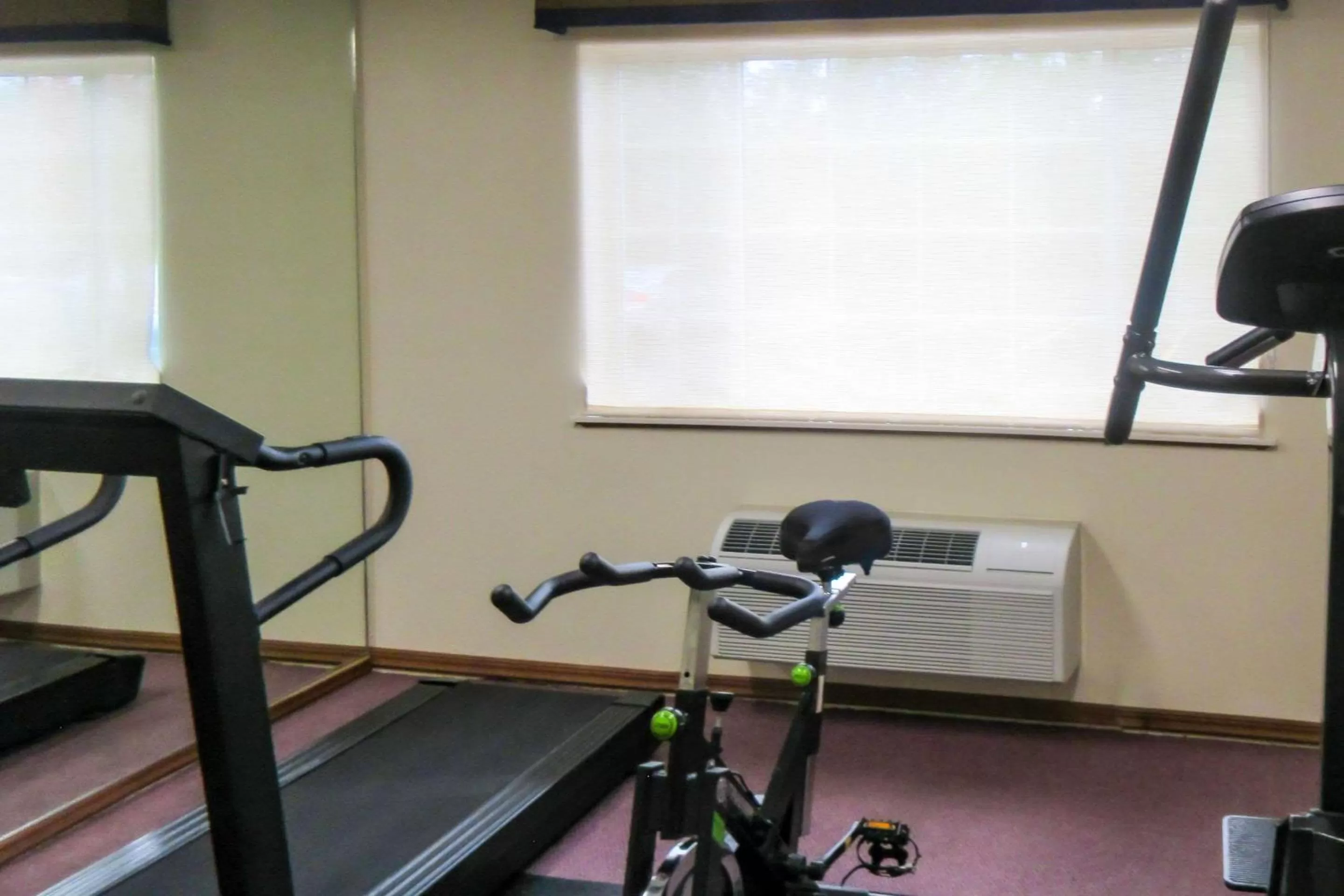 Fitness centre/facilities in Quality Inn & Suites Red Wing