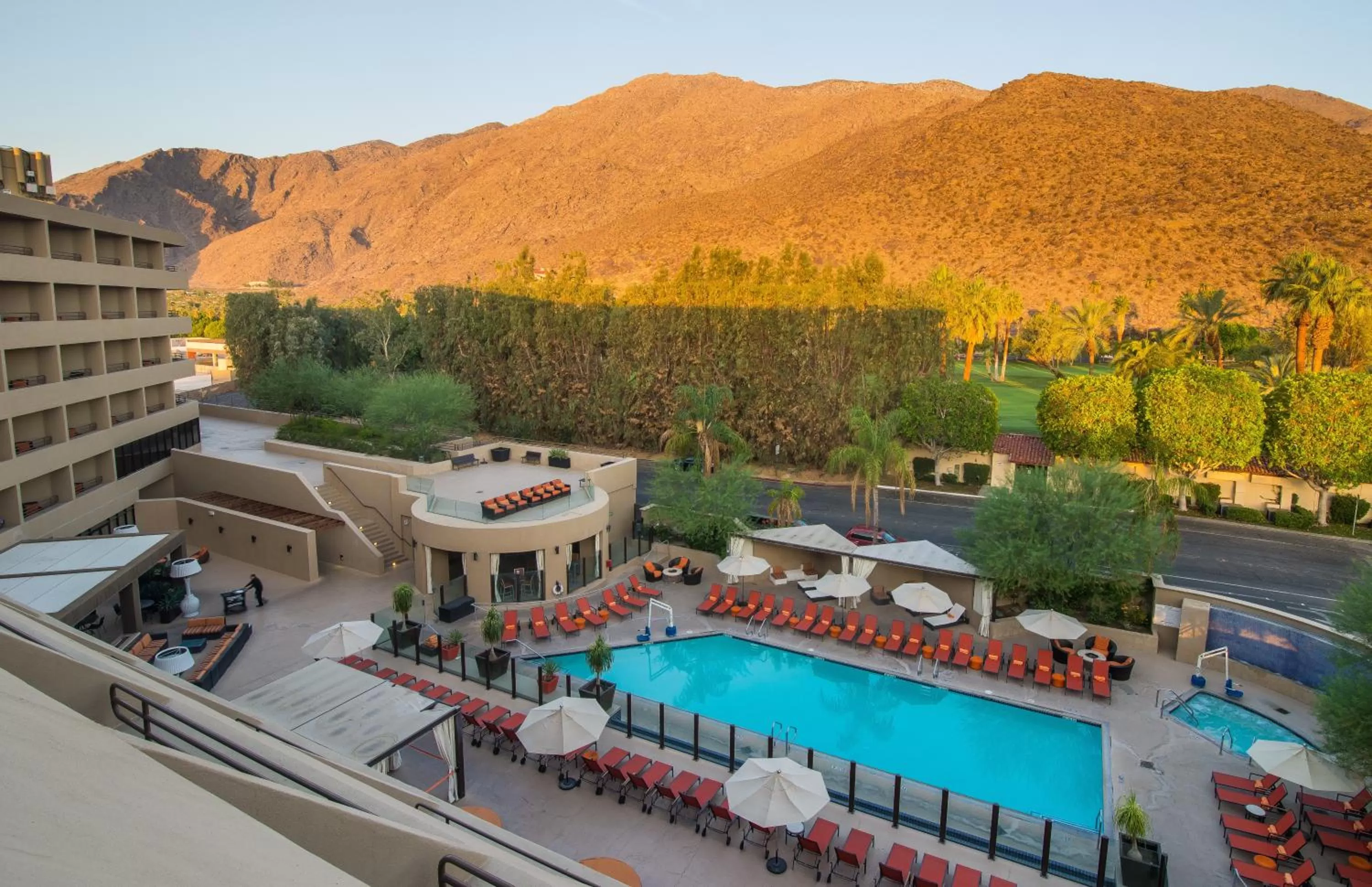 Natural landscape in Hyatt Palm Springs