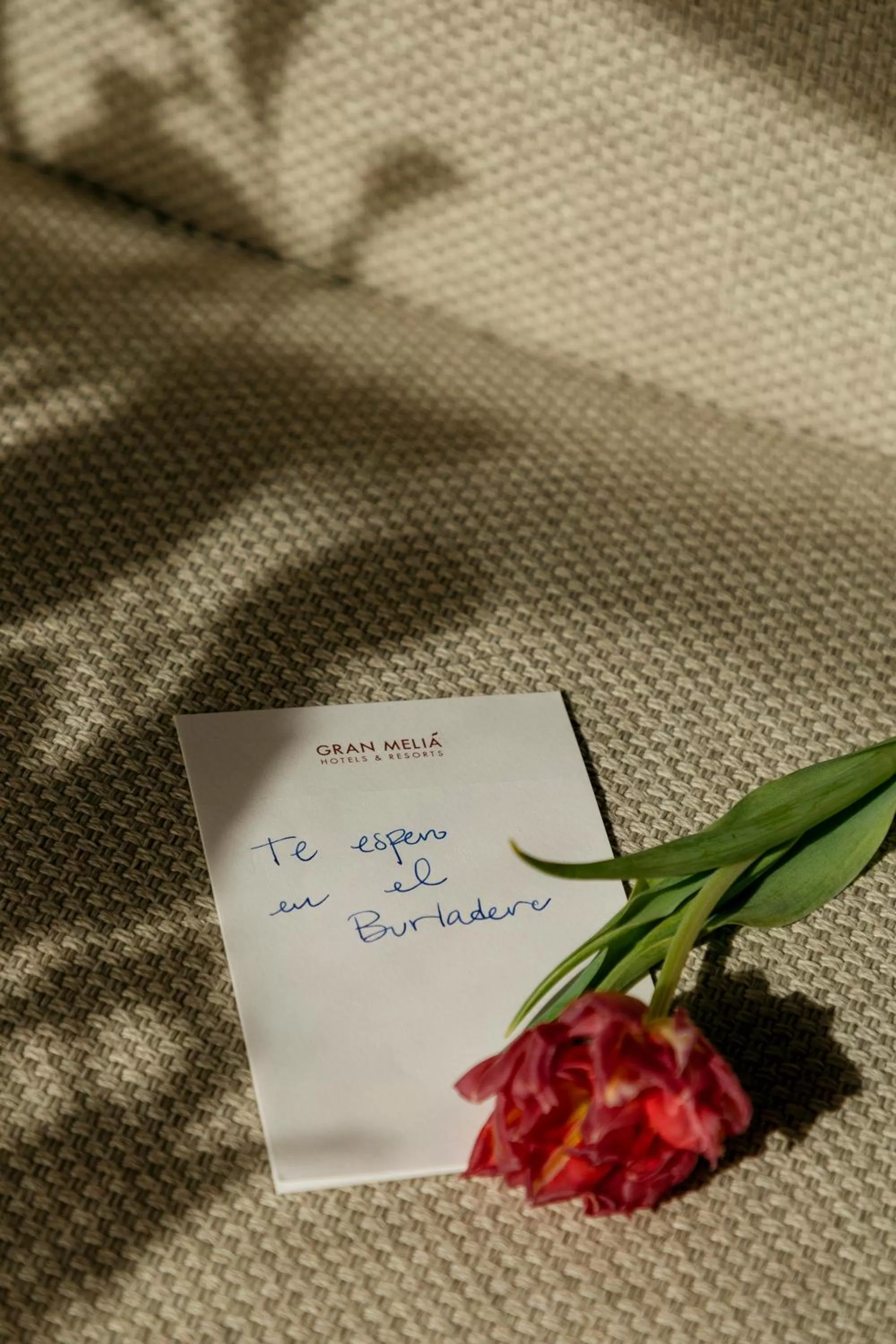 Restaurant/places to eat in Hotel Colón Gran Meliá - The Leading Hotels of the World