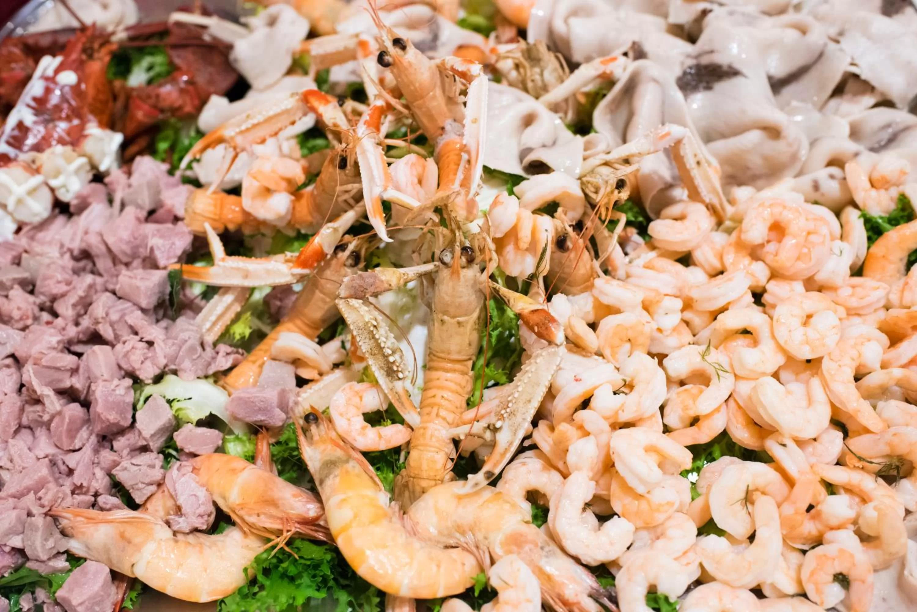 Restaurant/places to eat in Grand Hotel Stella Maris Italia