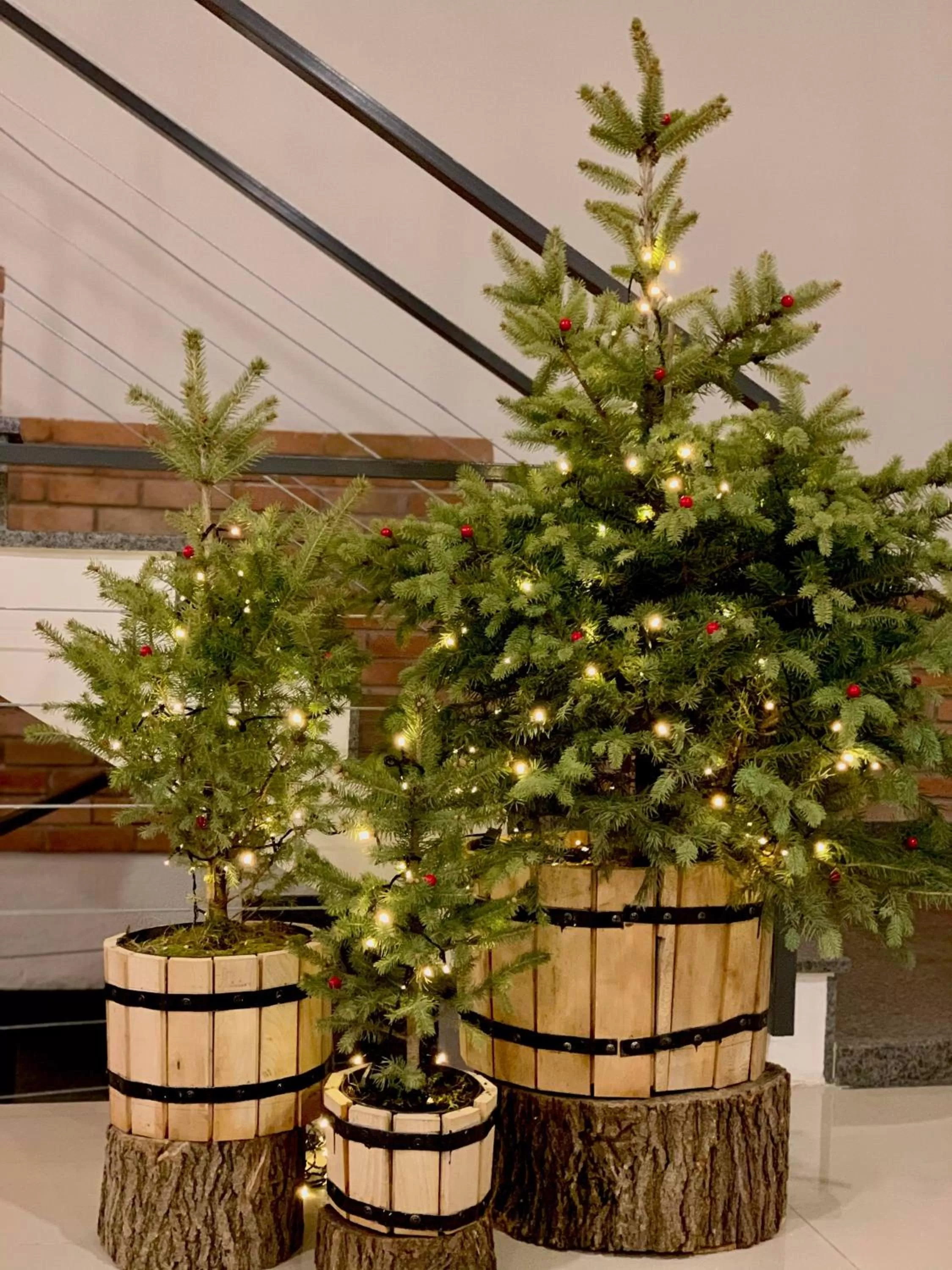 Lobby or reception in The Wine Hotel Telavi