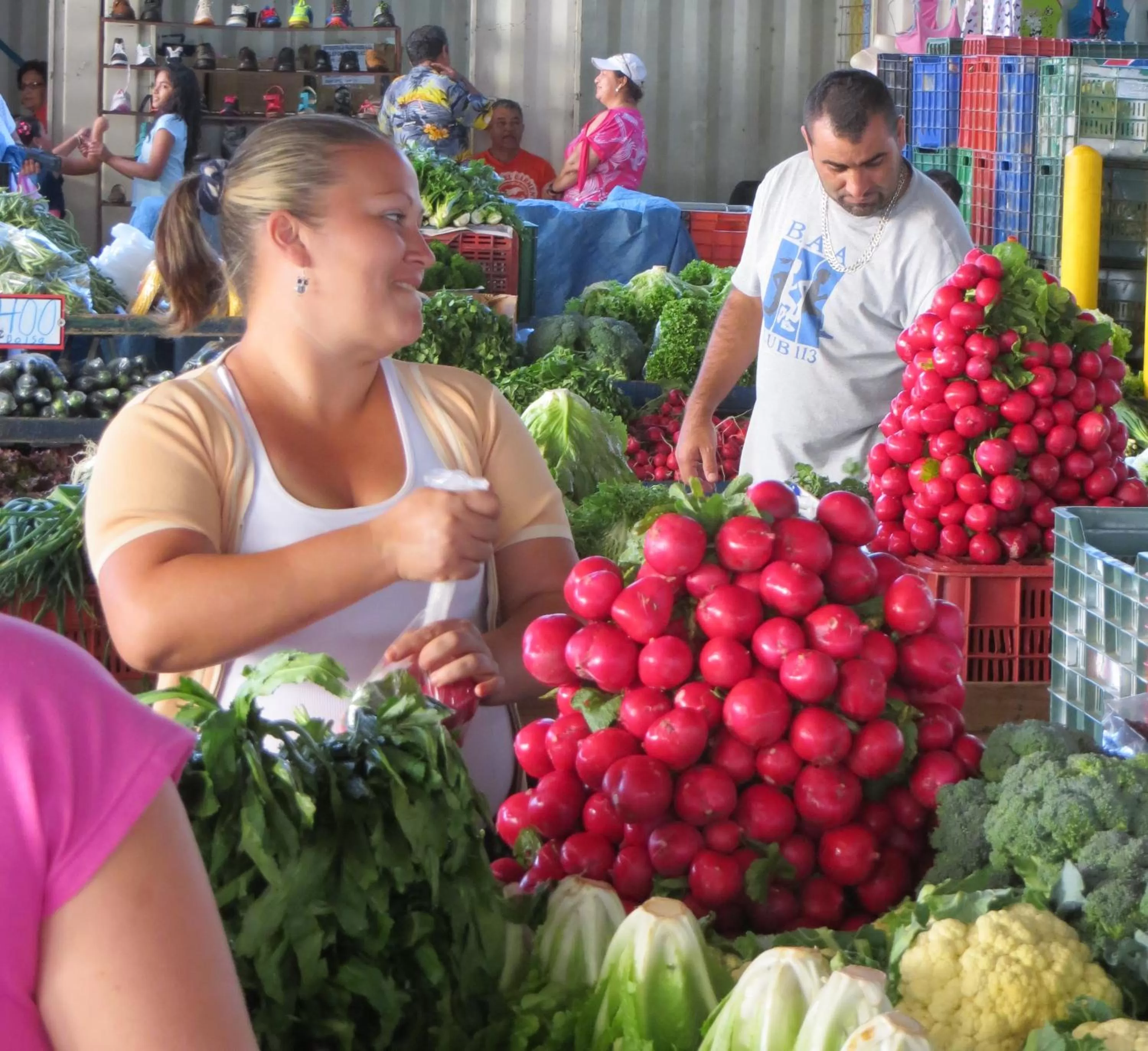 Activities in Pura Vida Hotel