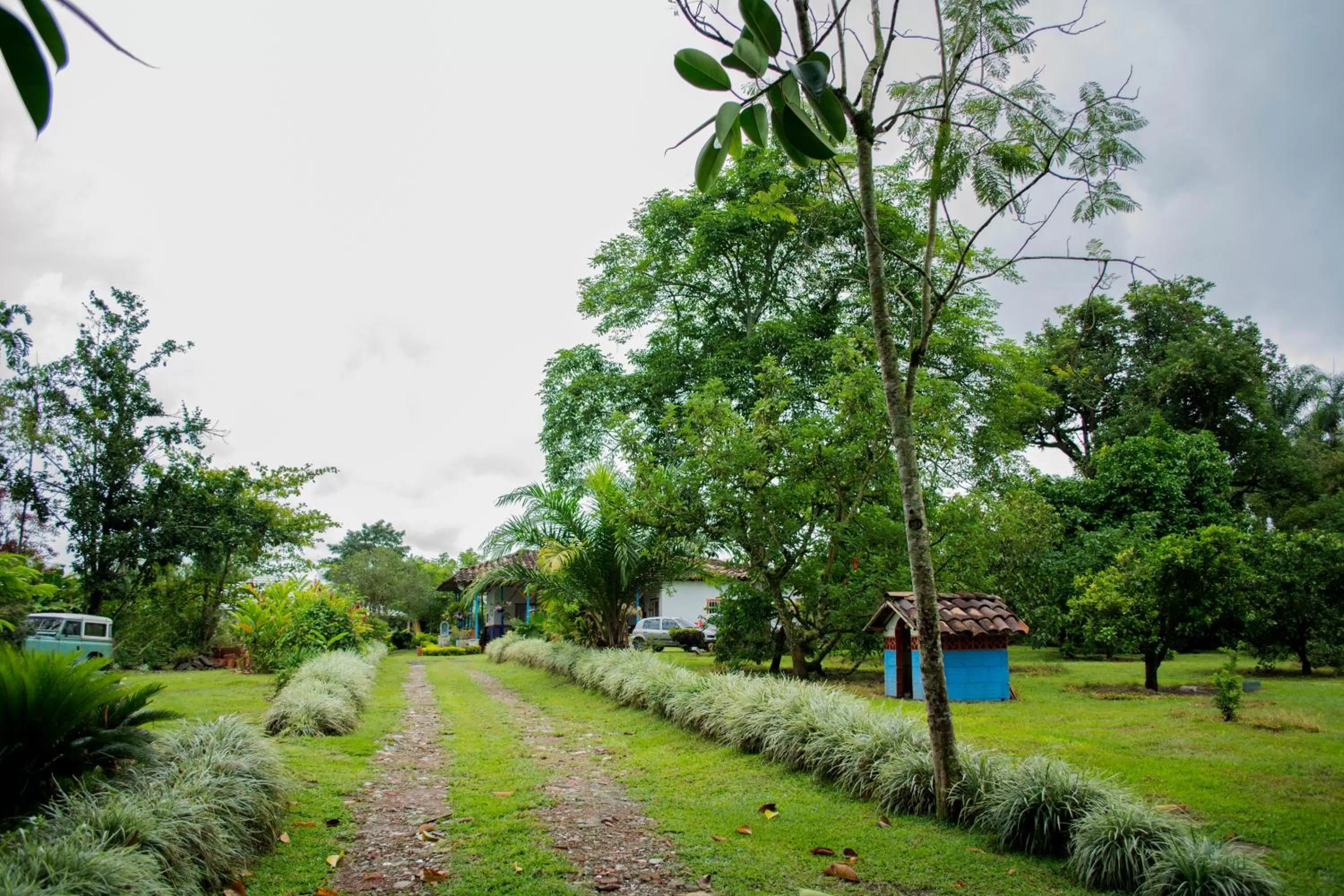 Natural landscape in Balsora Hotel Boutique