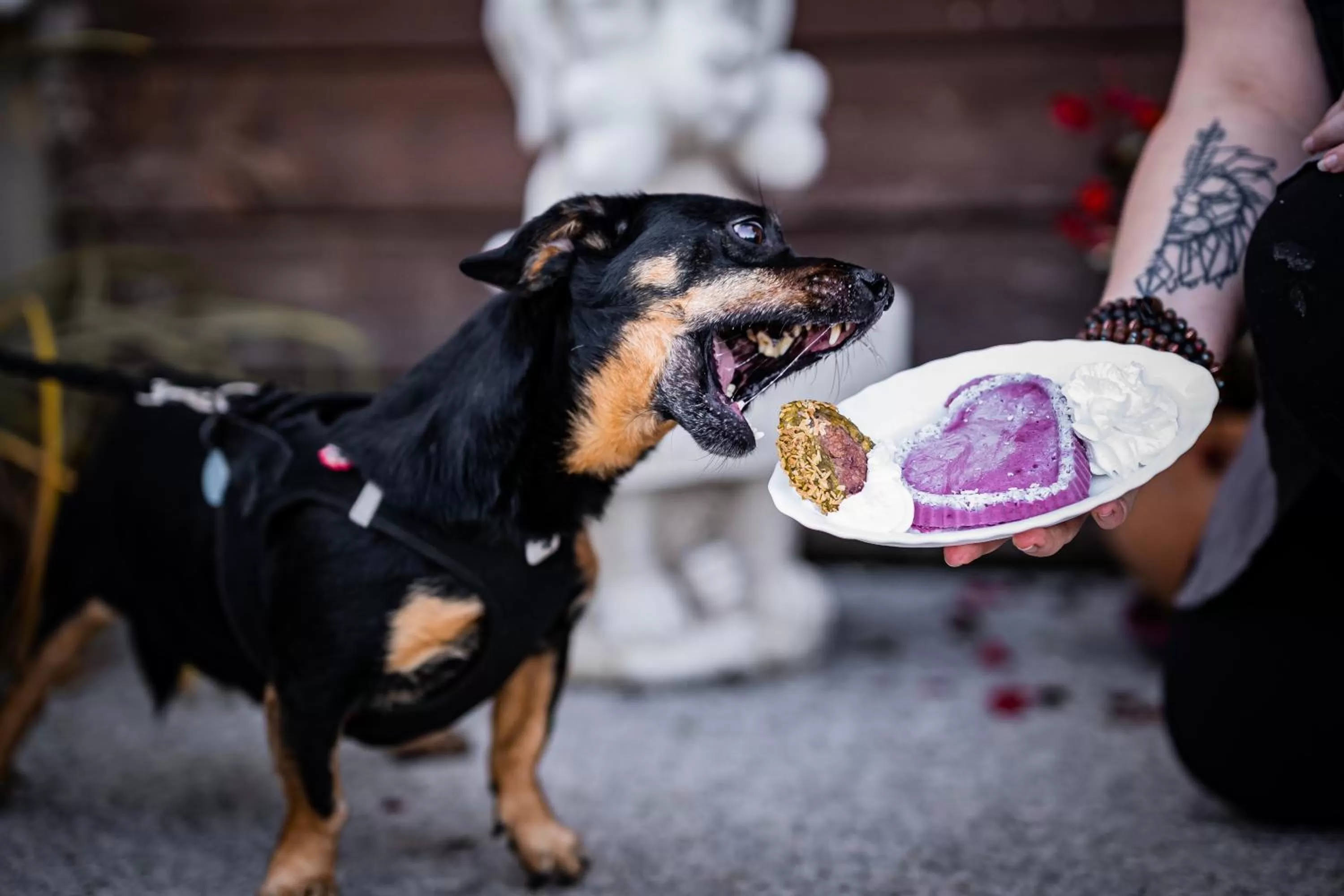 Berghotel Steiger - Erzgebirge