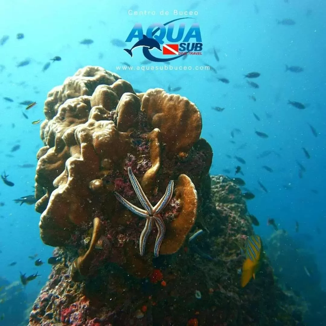 Natural landscape, Other Animals in Posada Turística Rocas De Cabo Marzo