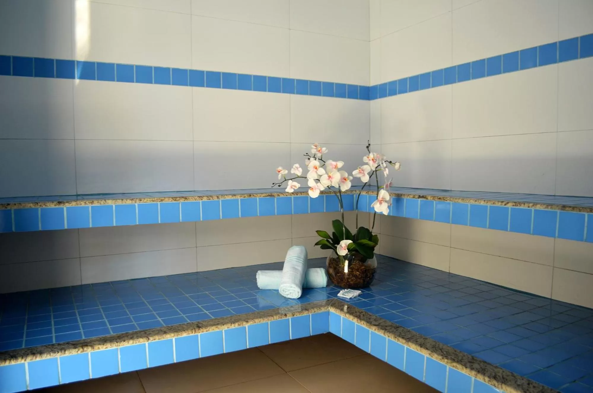 Sauna in Pontal Praia Hotel