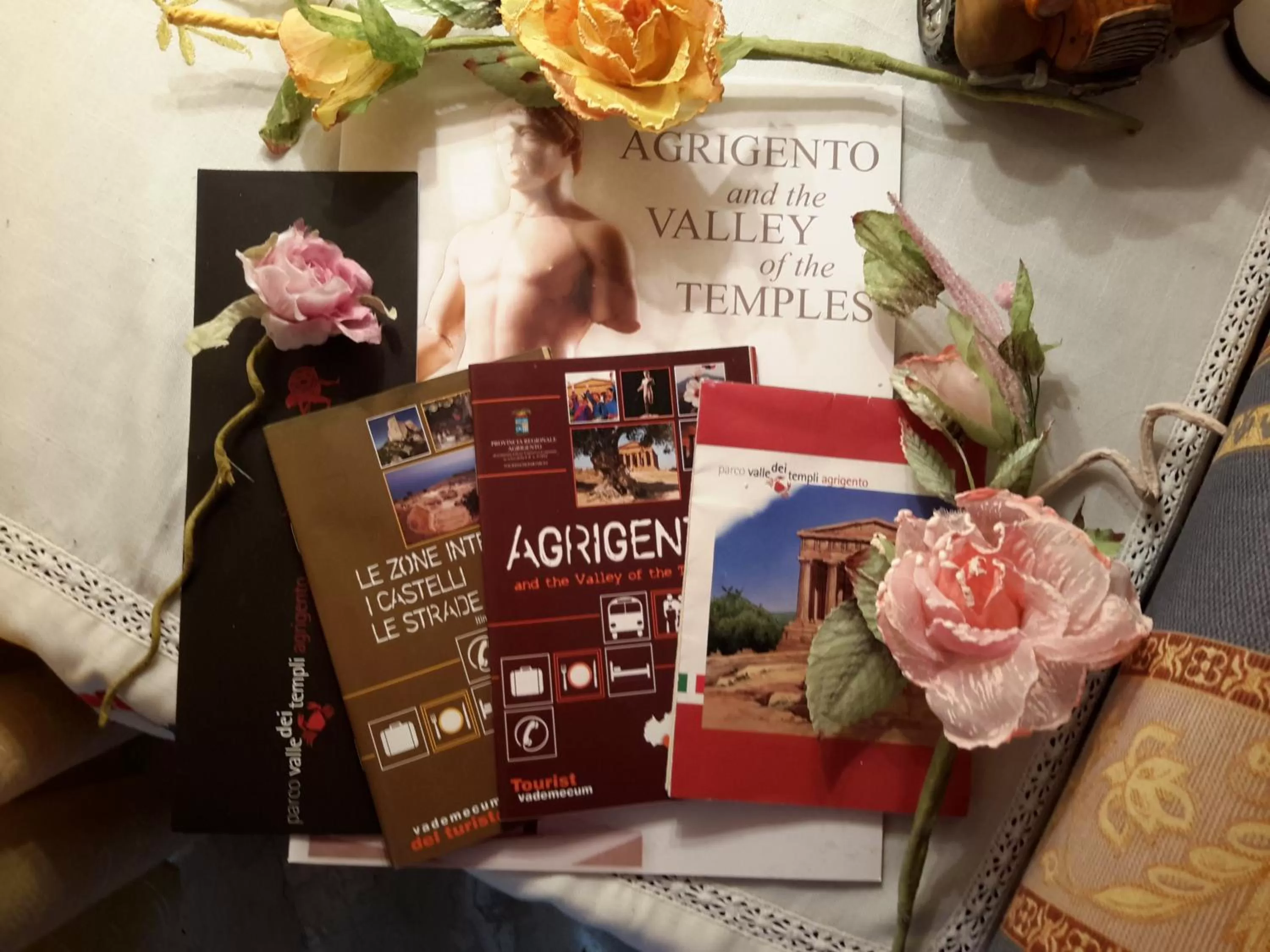 Library in B&B Le 4 Stagioni