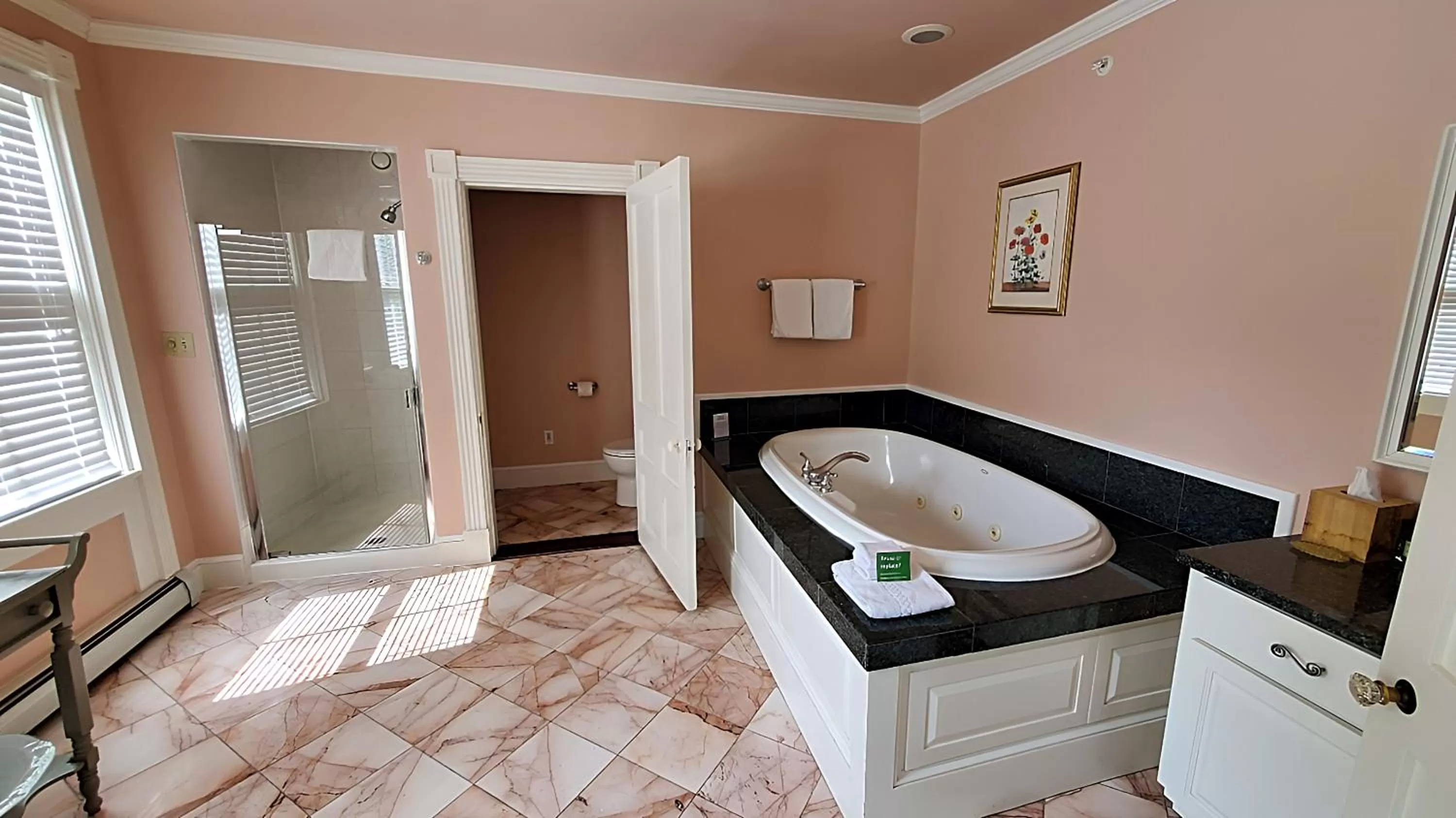 Shower, Bathroom in Four Columns Inn