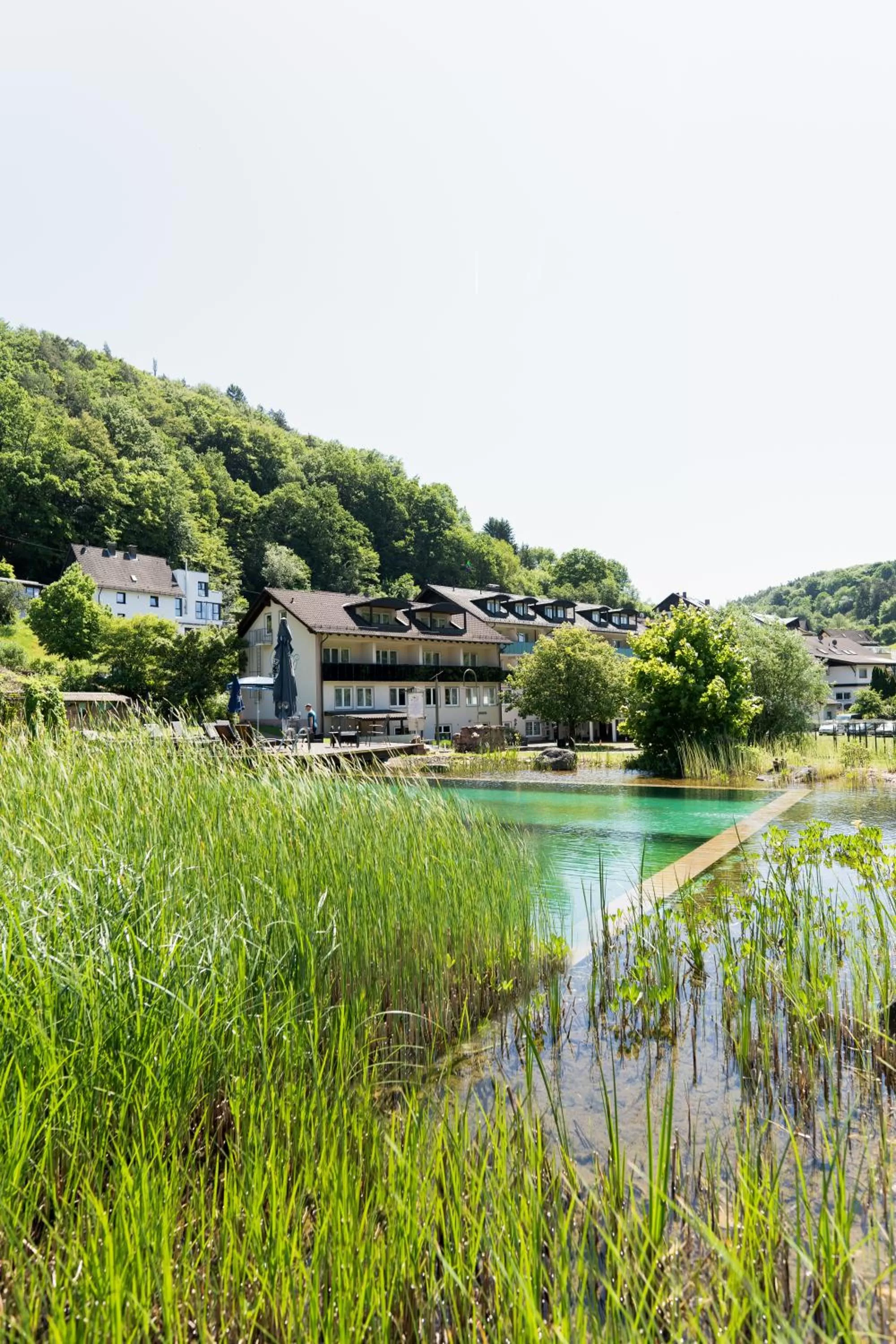 Natural landscape in Hotel Christel