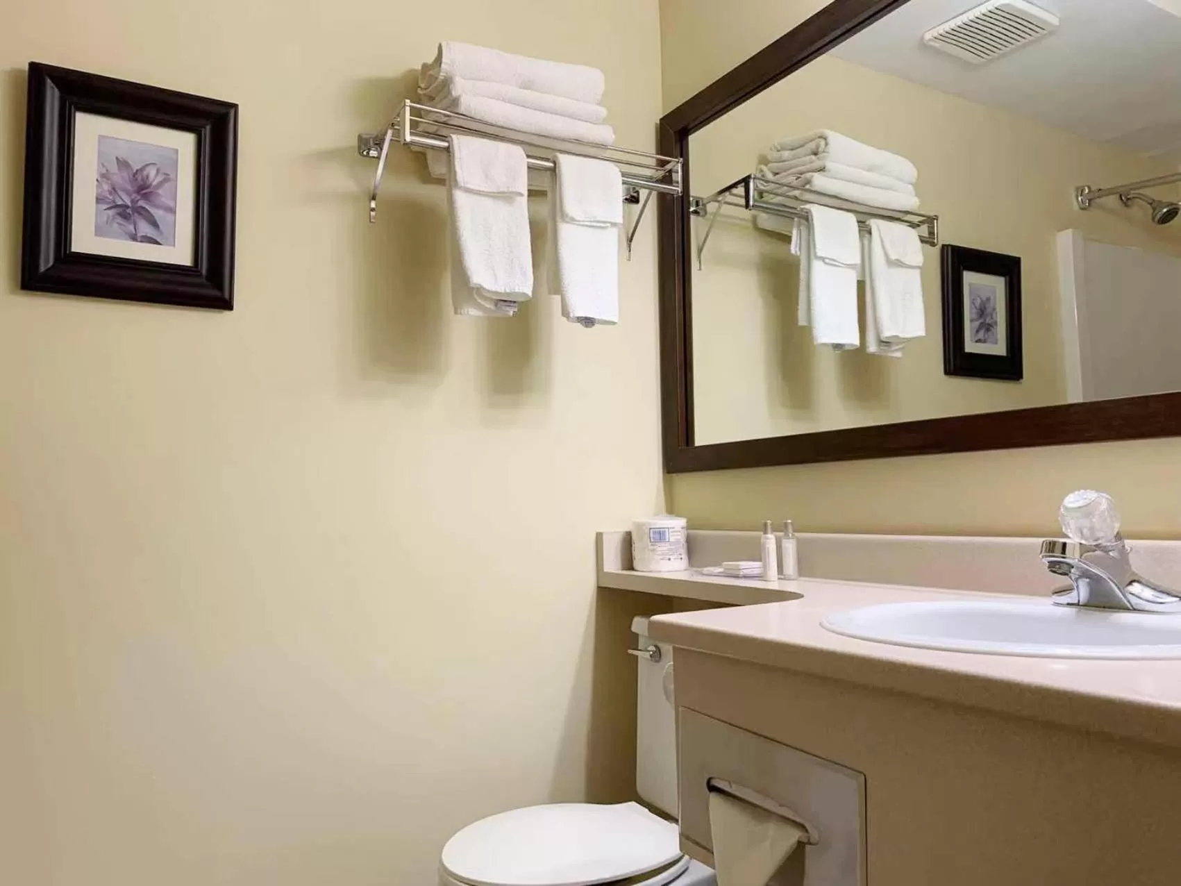 Bathroom in MountainView Hotel Merritt