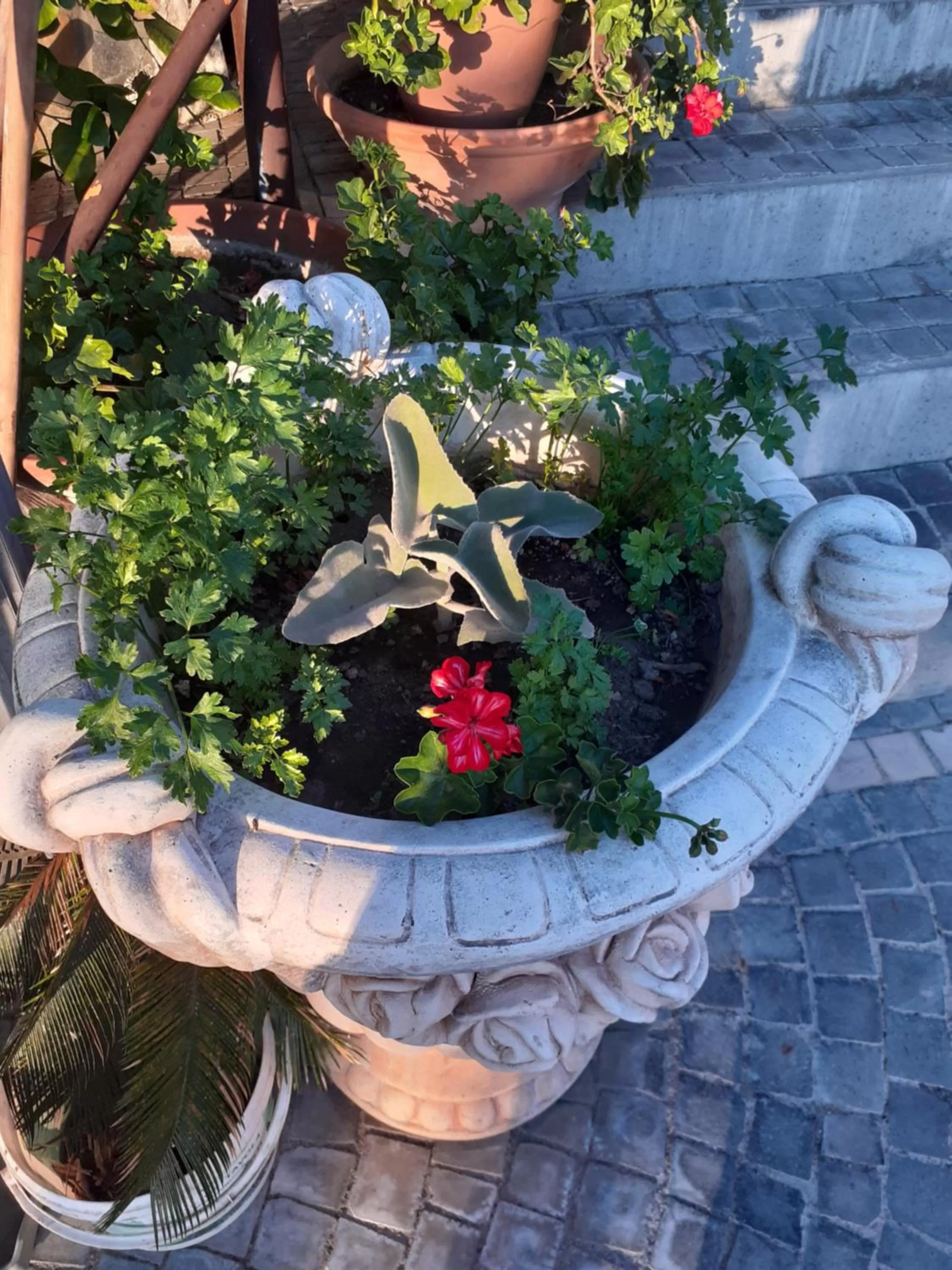 Appartamento HOUSE IDA