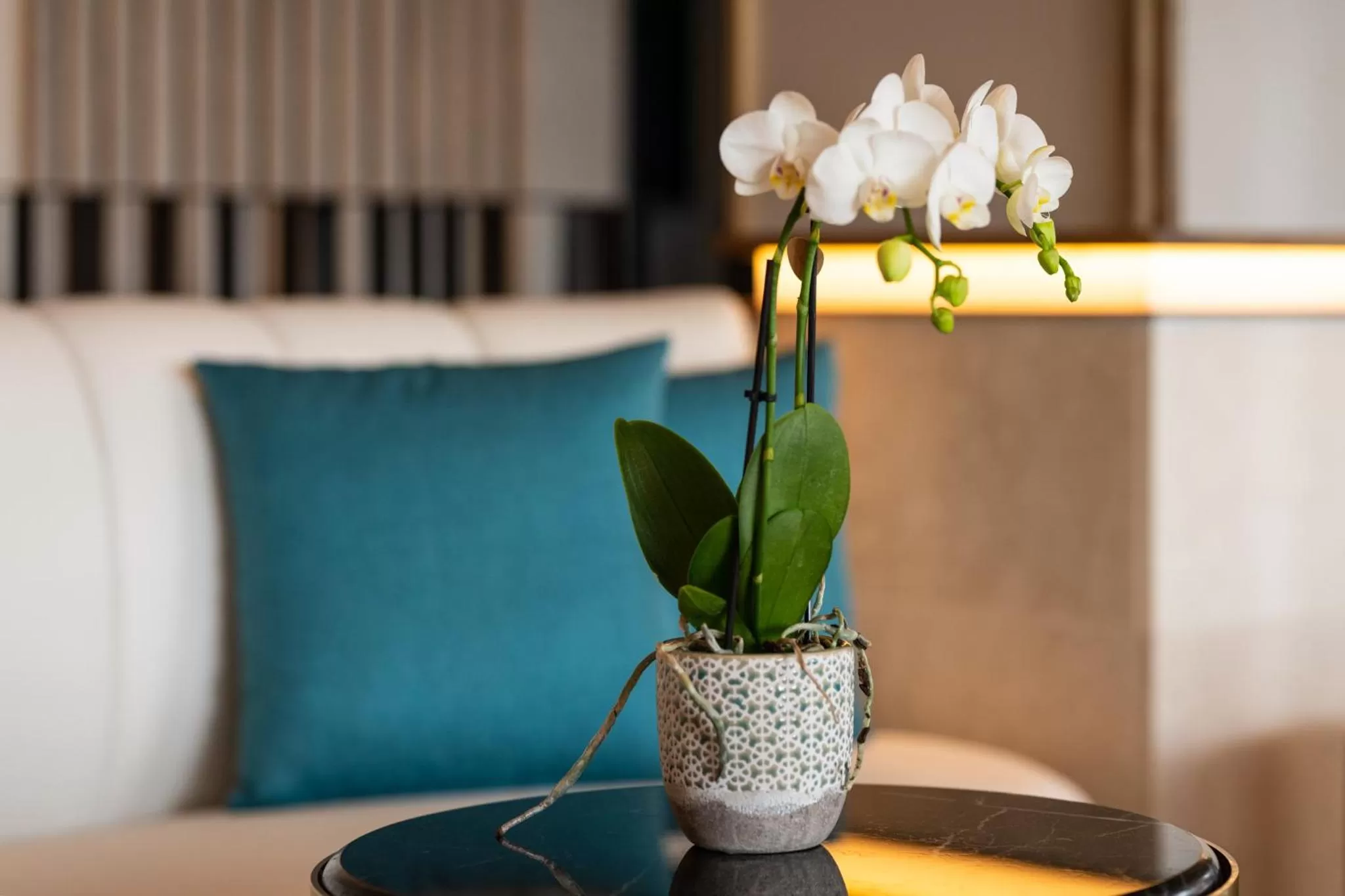 Lobby or reception in Hotel LIVVO Lumm