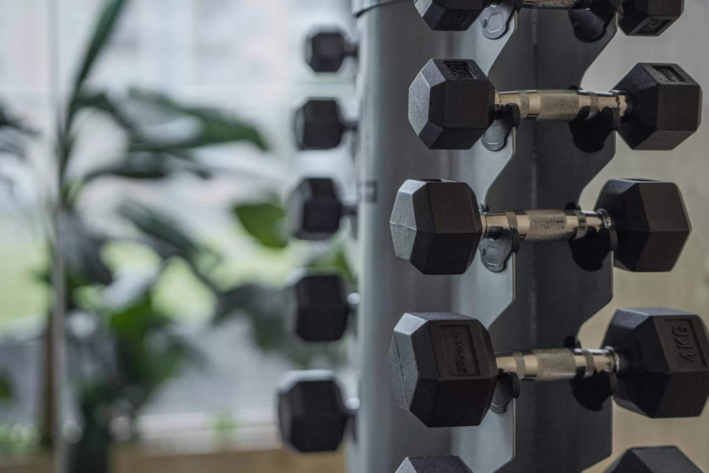 Fitness centre/facilities in The Lince Azores