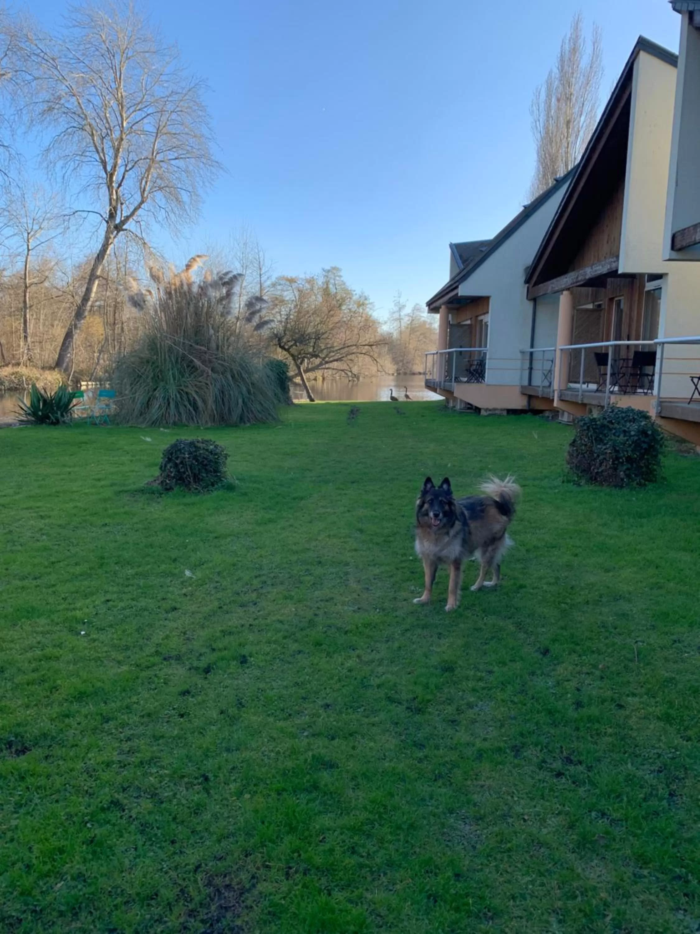 Hôtel L'ile Du Saussay