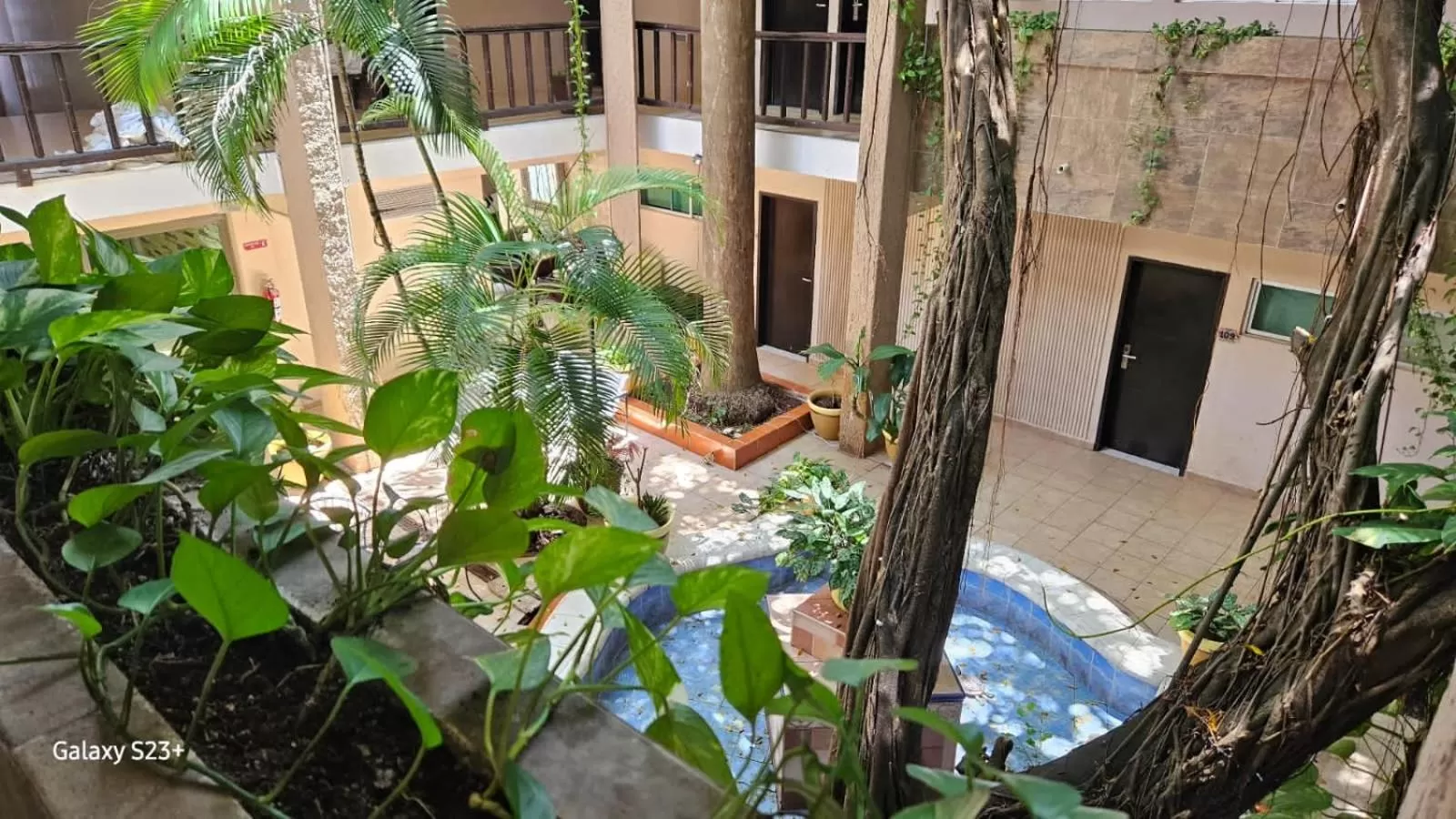 Garden view in Hotel Colonial Cancun