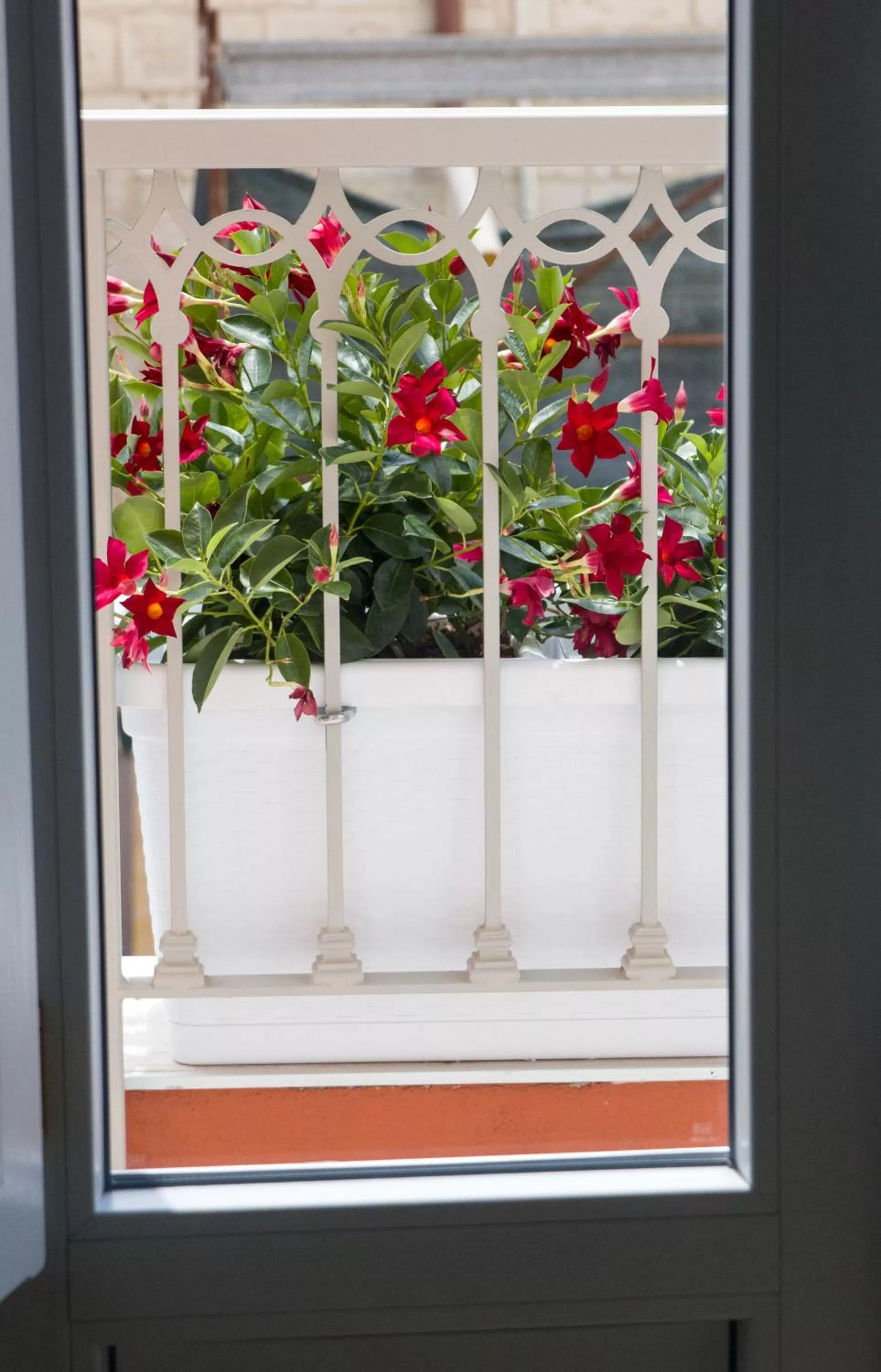 Balcony/Terrace in B&B San Trifone