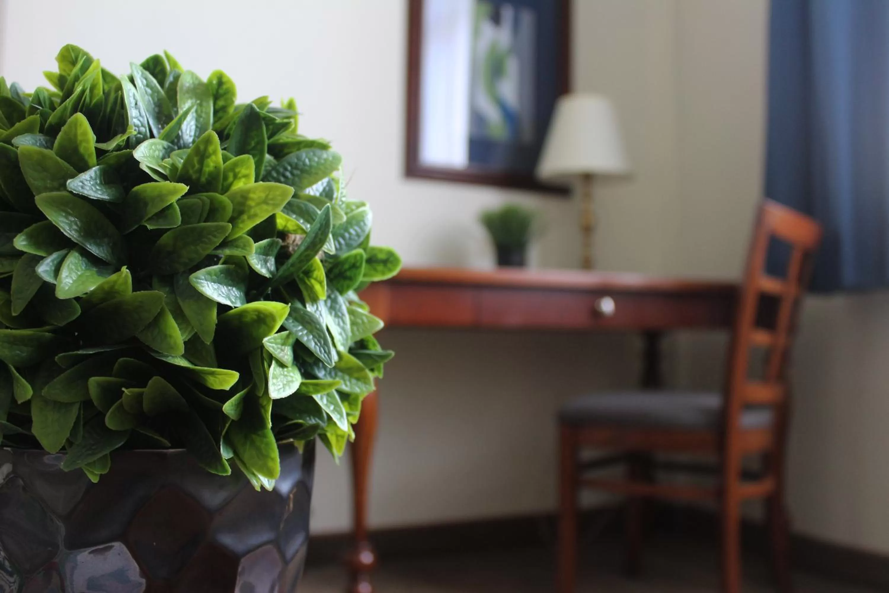 Seating area in Best Western PLUS Los Mochis