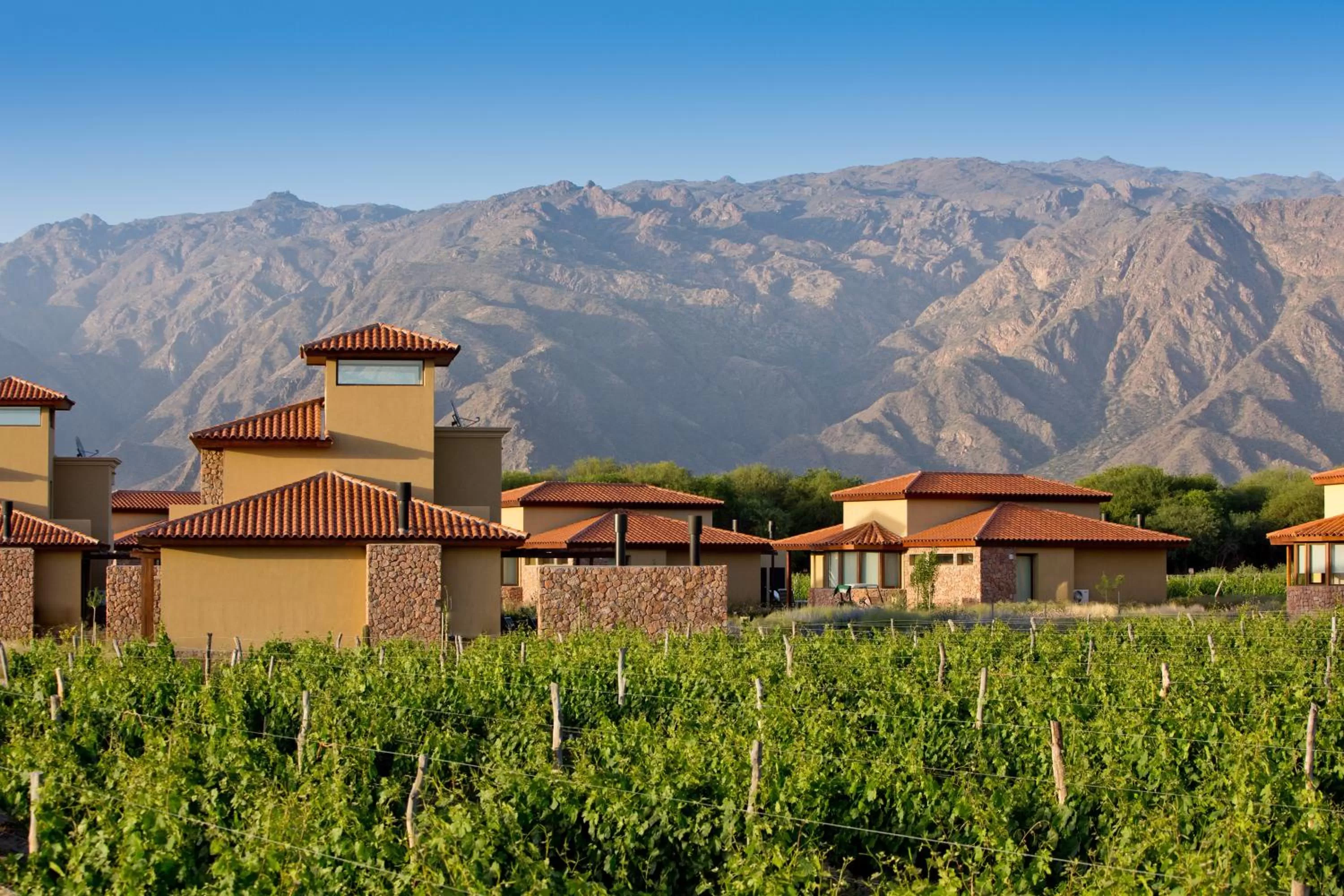 Property Building in Grace Cafayate