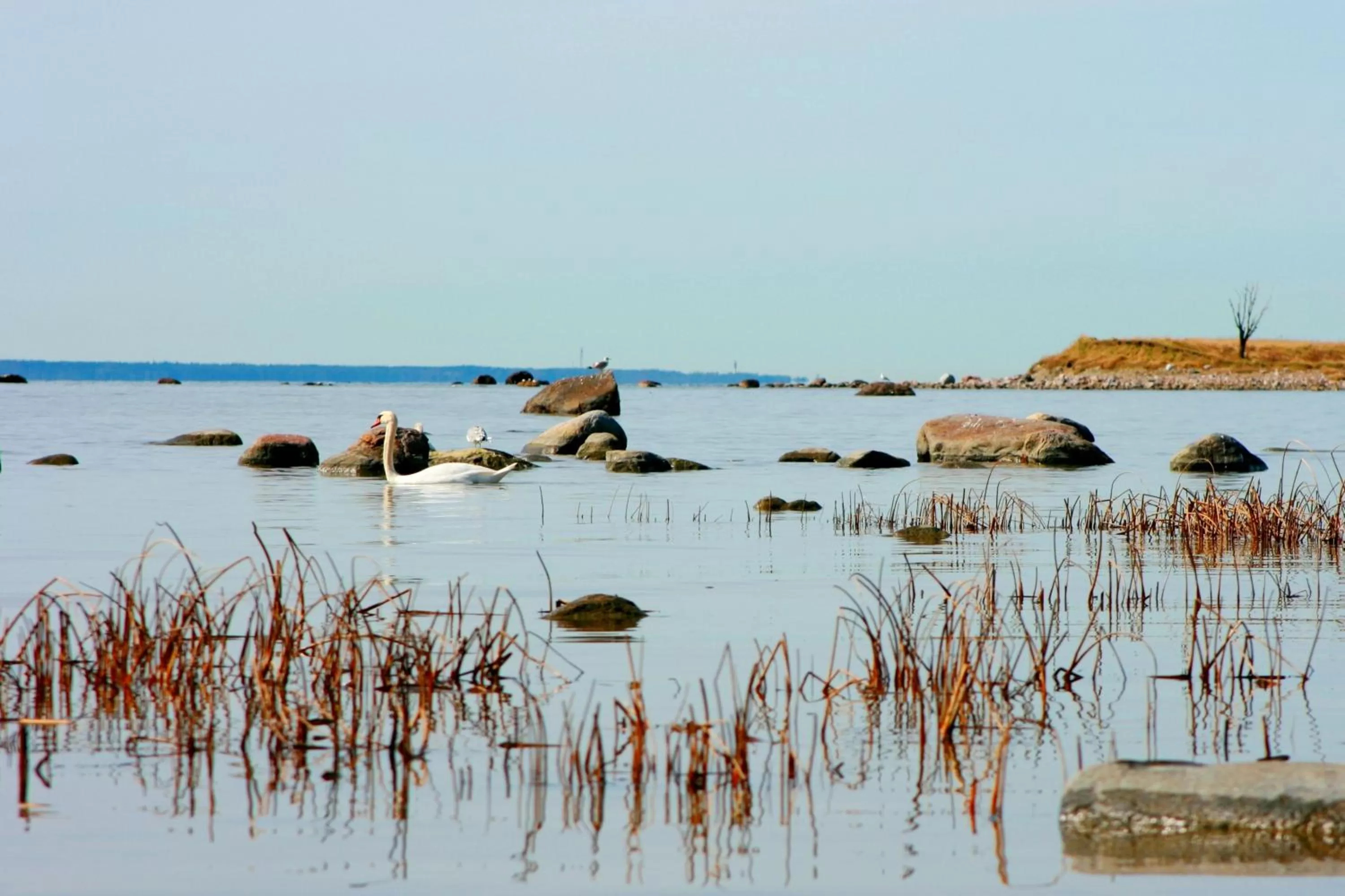 Beach in Viimsi Spa & Waterpark